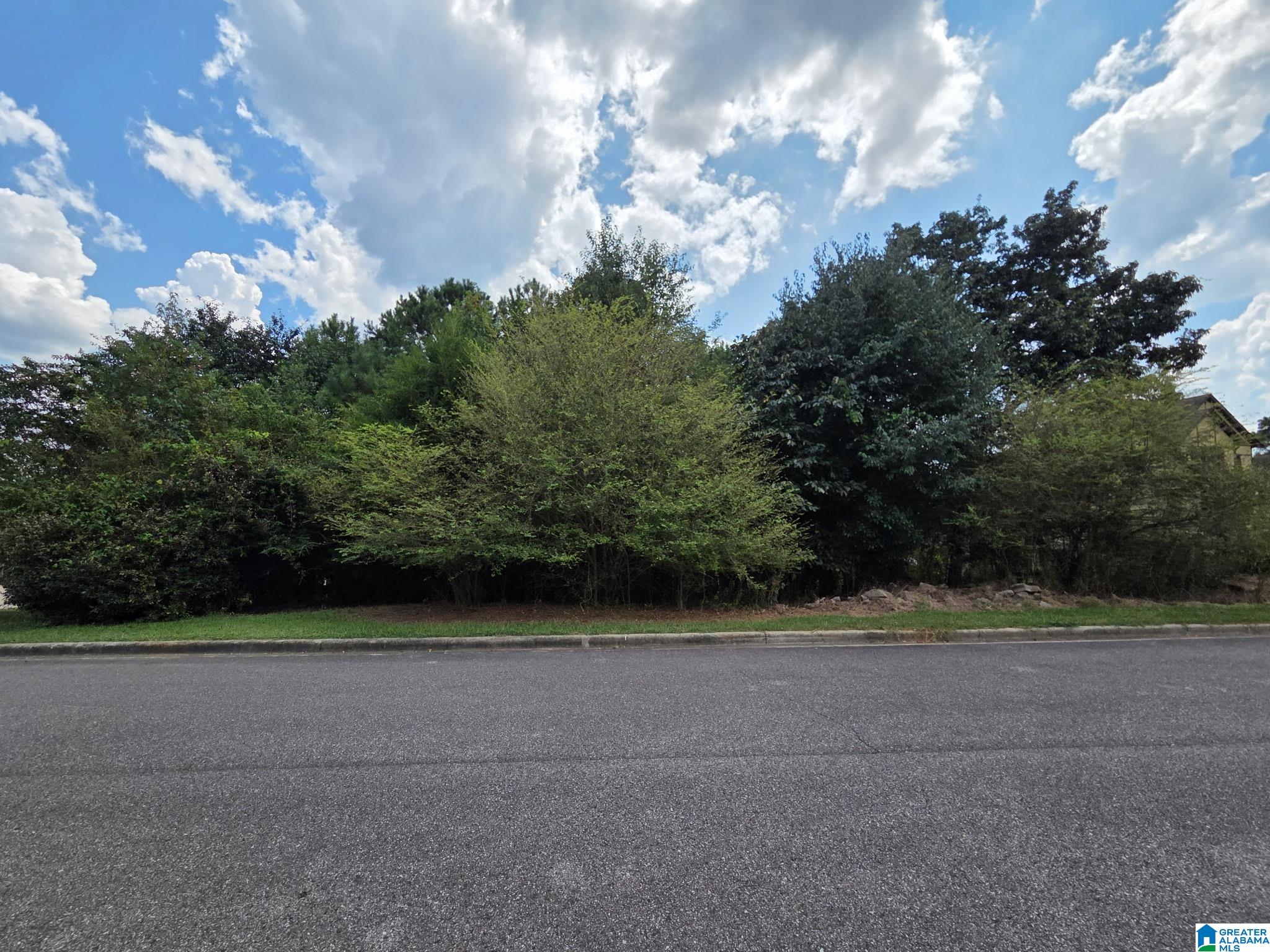 Land for sale at 8443 Ledge Cir, TRUSSVILLE, AL 35173 | MLS# 21463902