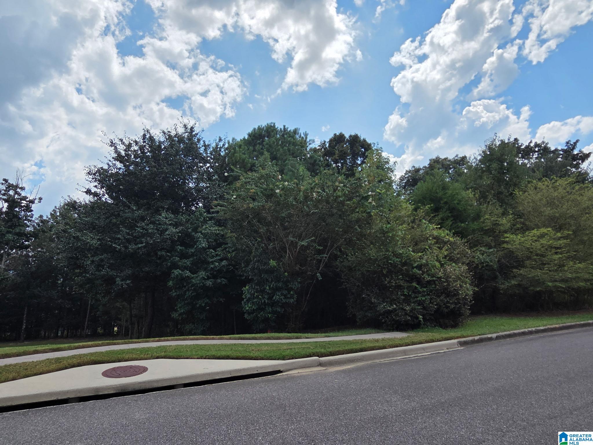 Photo 2 of Land for sale at 8443 Ledge Cir, Trussville, AL 35173 | MLS# 21463902 | Listing updated on 2026-09-02