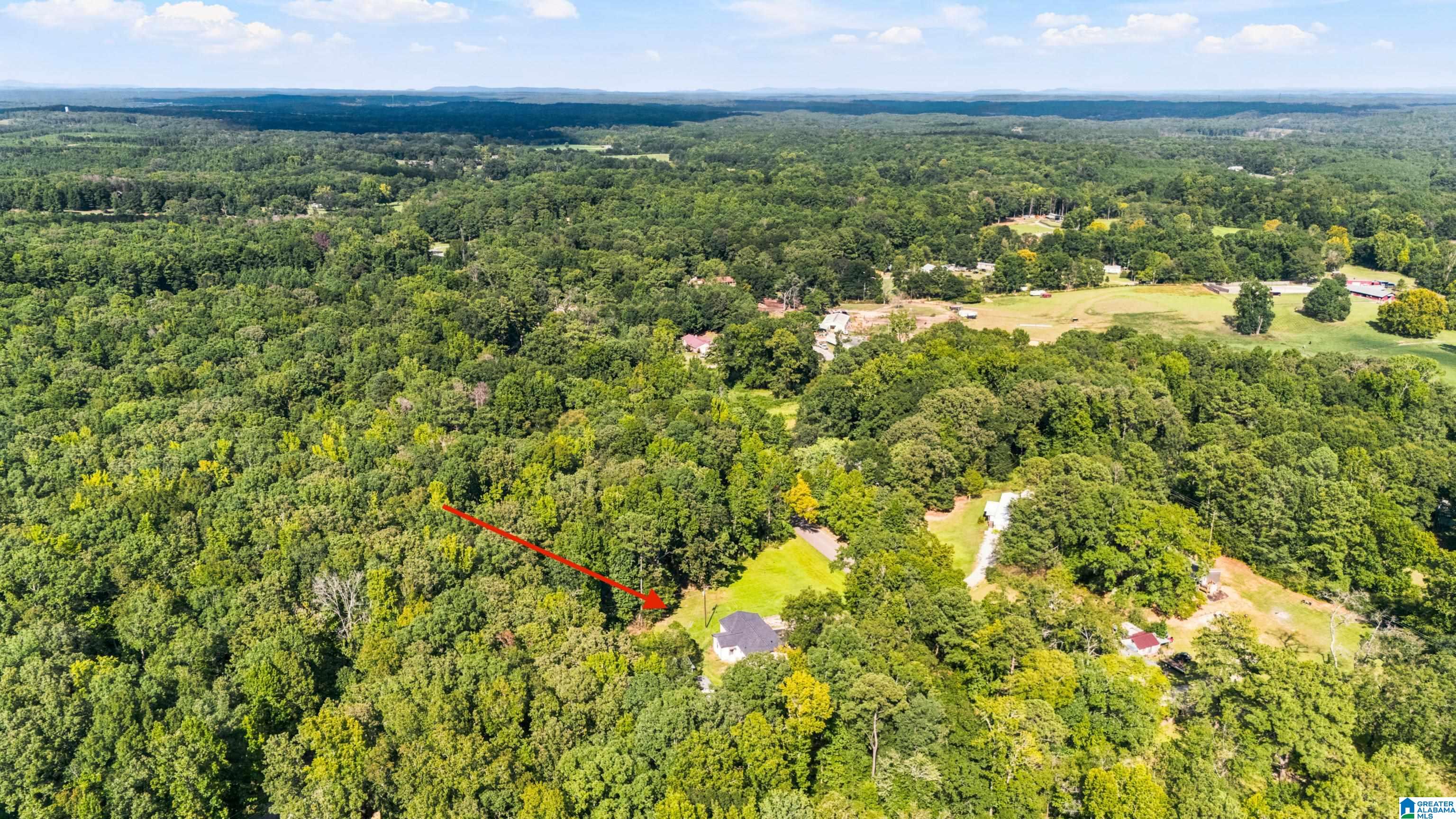 Photo 52 of Single family home for sale at 1445 County Rd 33, Calera, AL 35040 | MLS# 21463972 | Listing updated on 2026-09-04