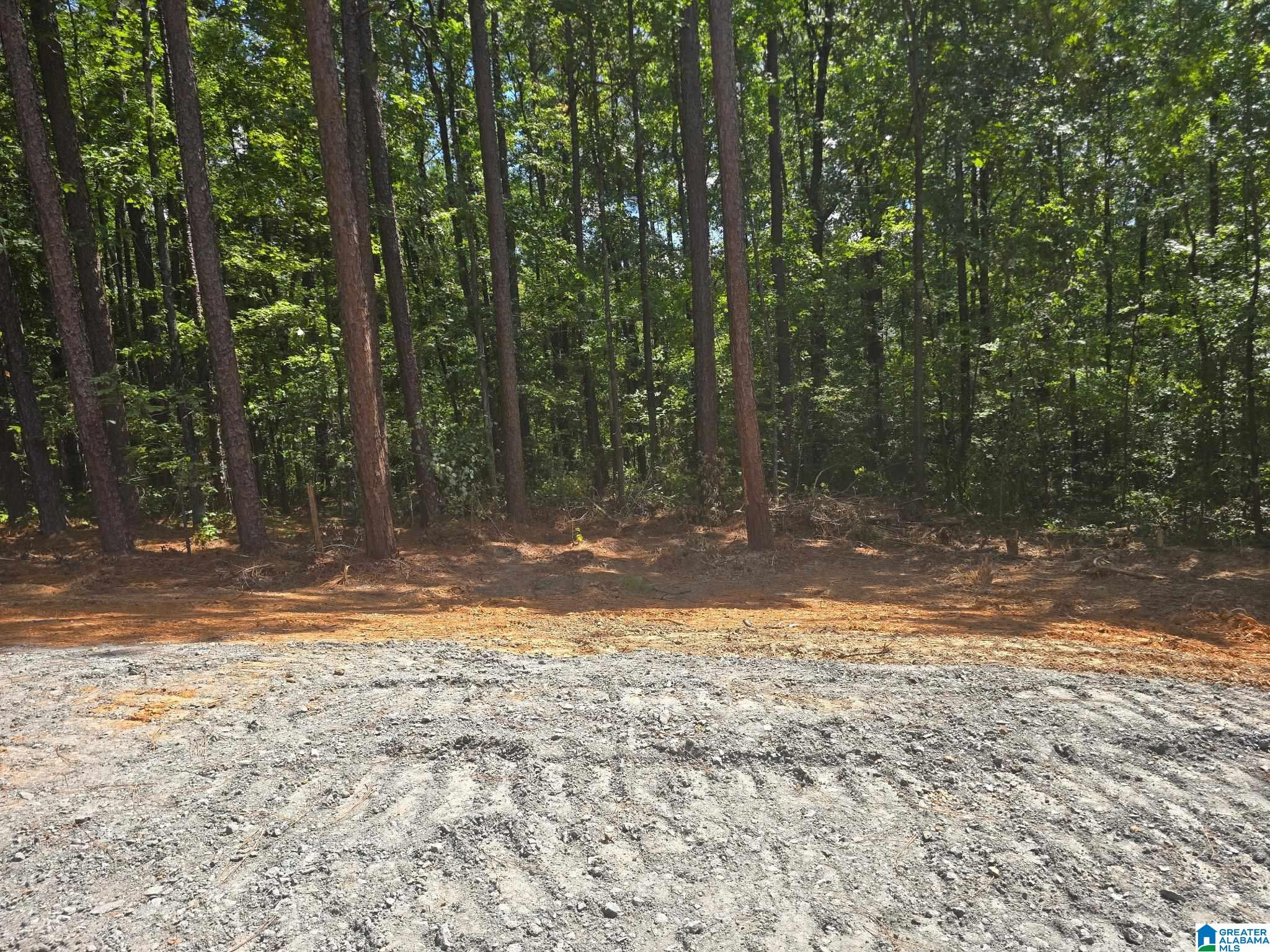 Photo 1 of Land for sale at 12561 Sheila Dr, Mc Calla, AL 35111 | MLS# 21463994 | Listing updated on 2026-09-03
