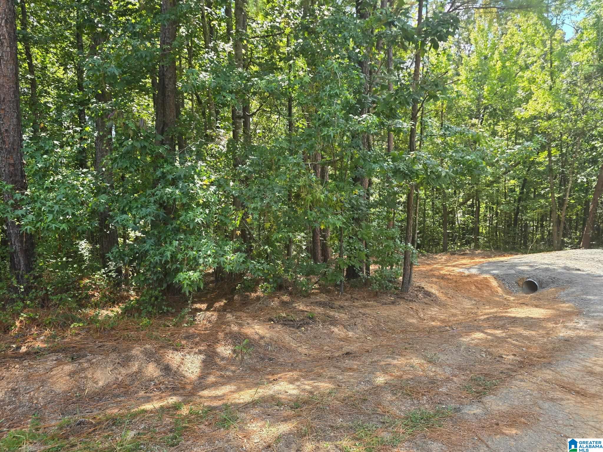 Photo 2 of Land for sale at 12561 Sheila Dr, Mc Calla, AL 35111 | MLS# 21463994 | Listing updated on 2026-09-03