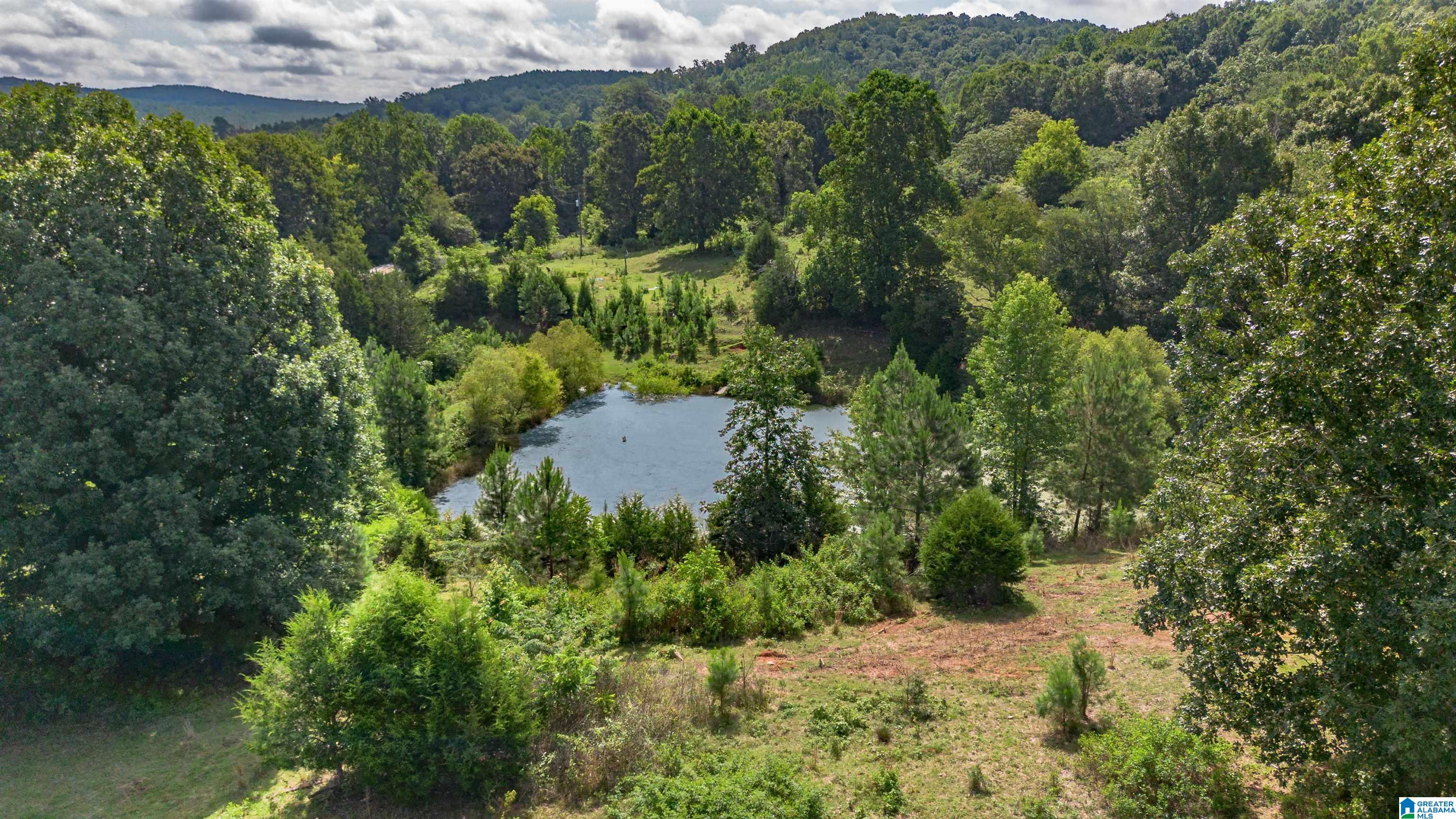 5967 County Road 19 1