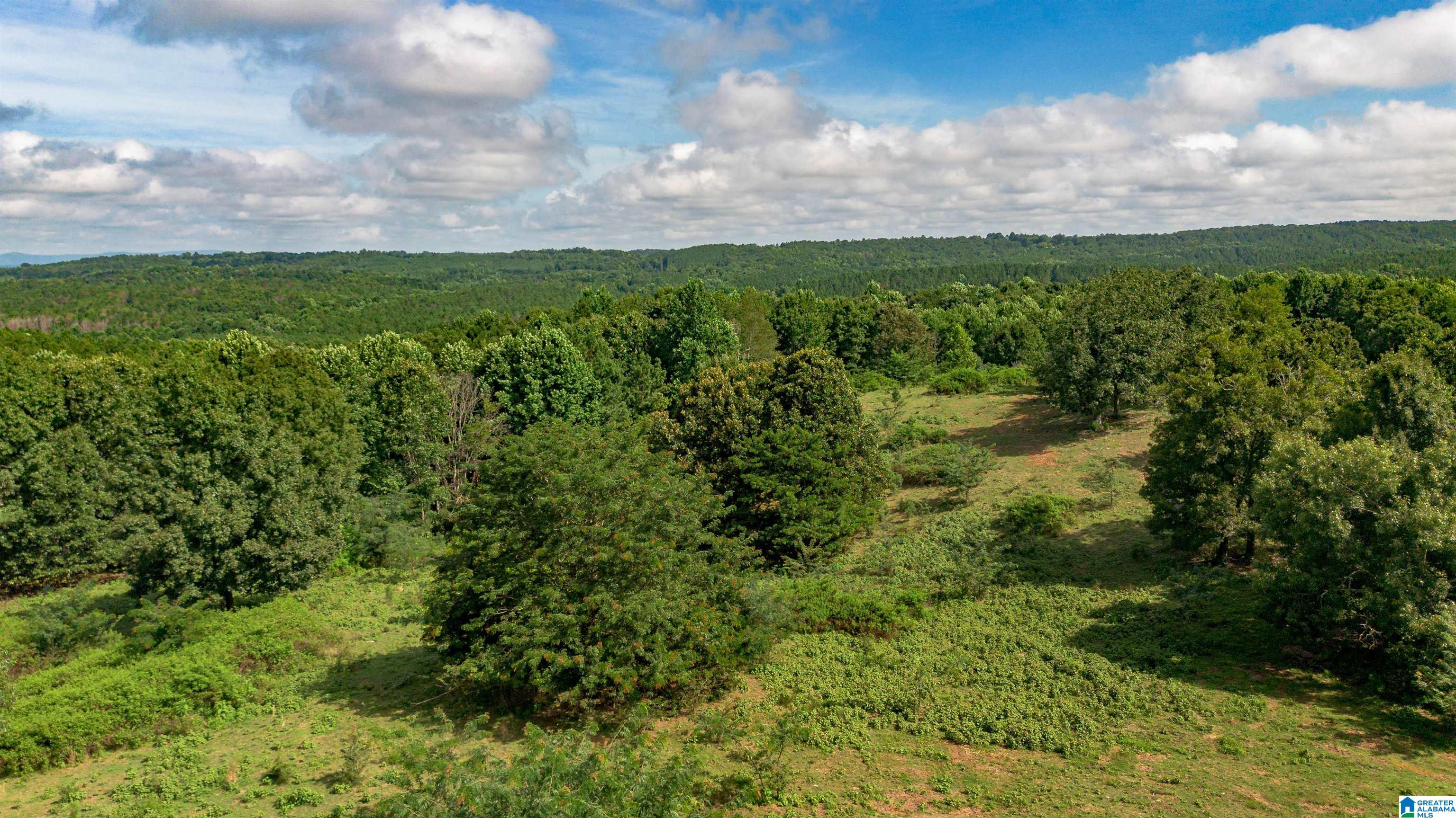 5967 County Road 19 1