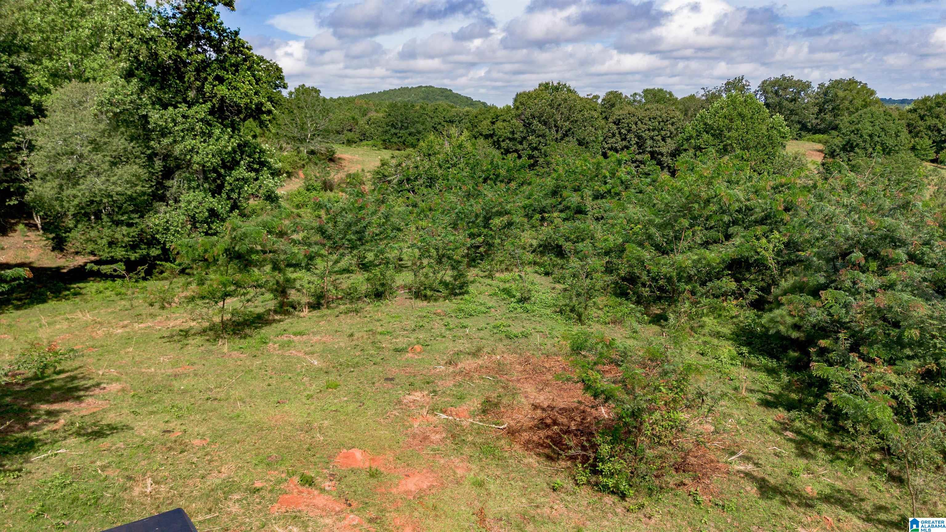 5967 County Road 19 1