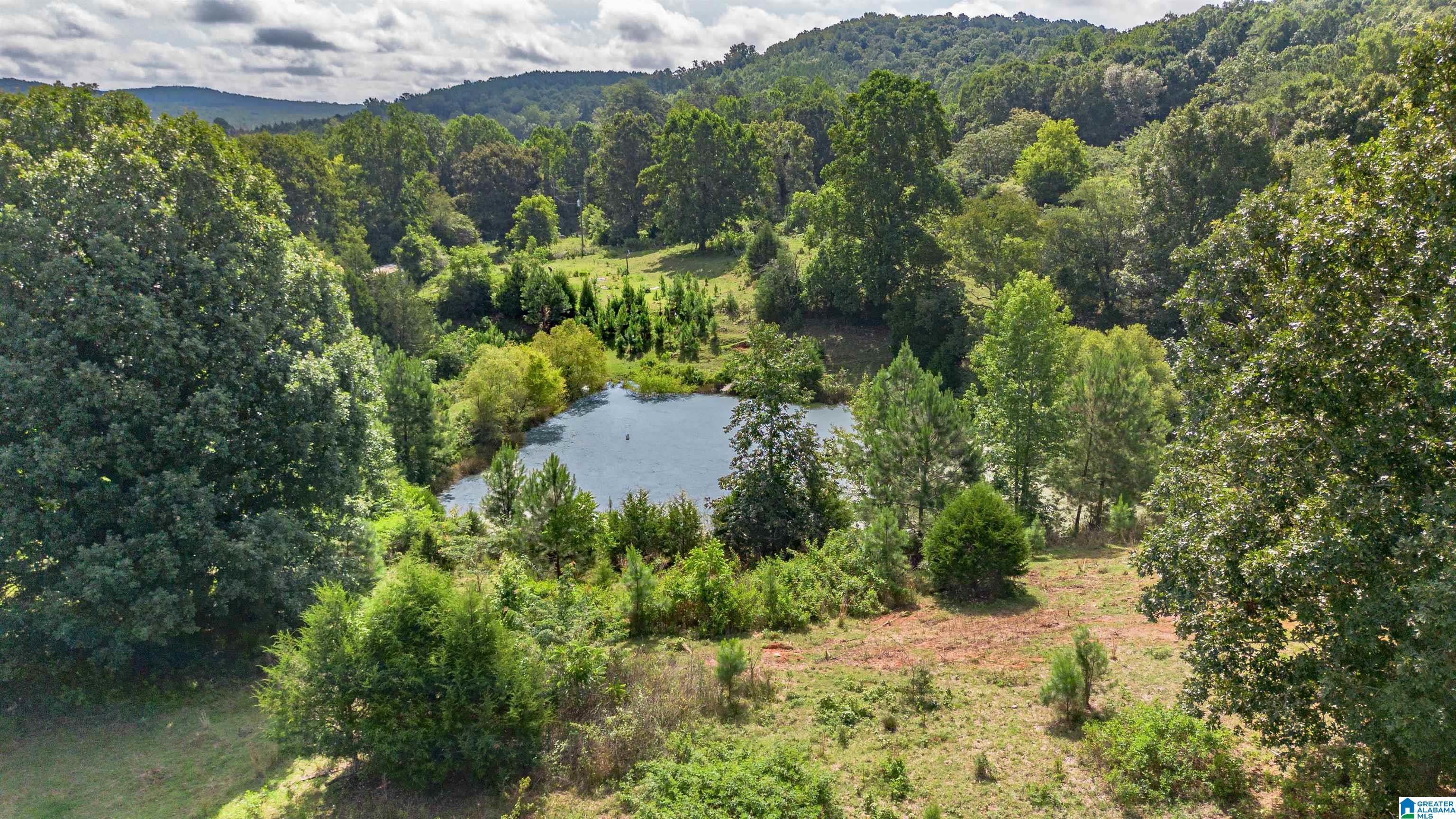 5967 County Road 19 2