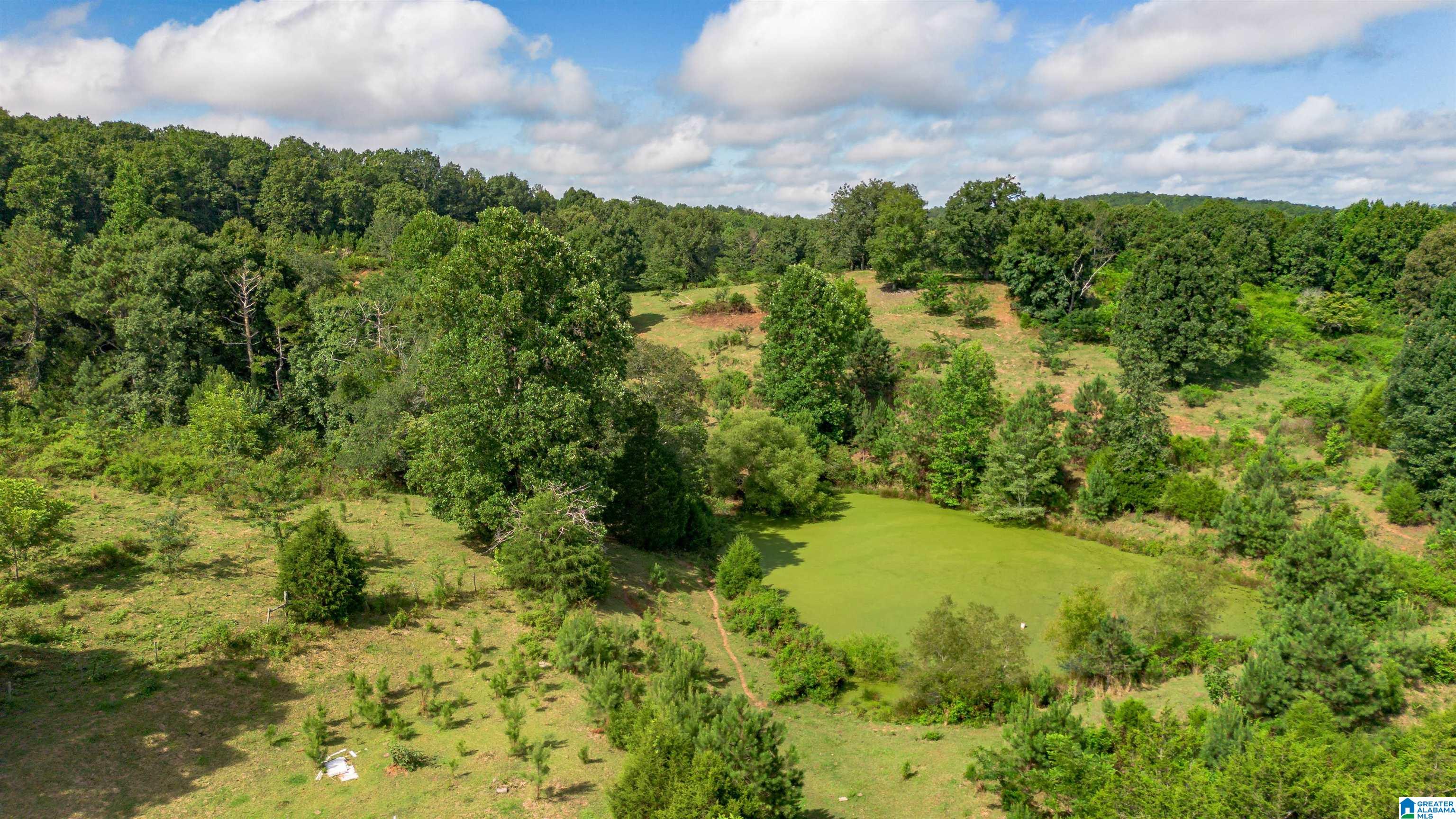 5967 County Road 19 2
