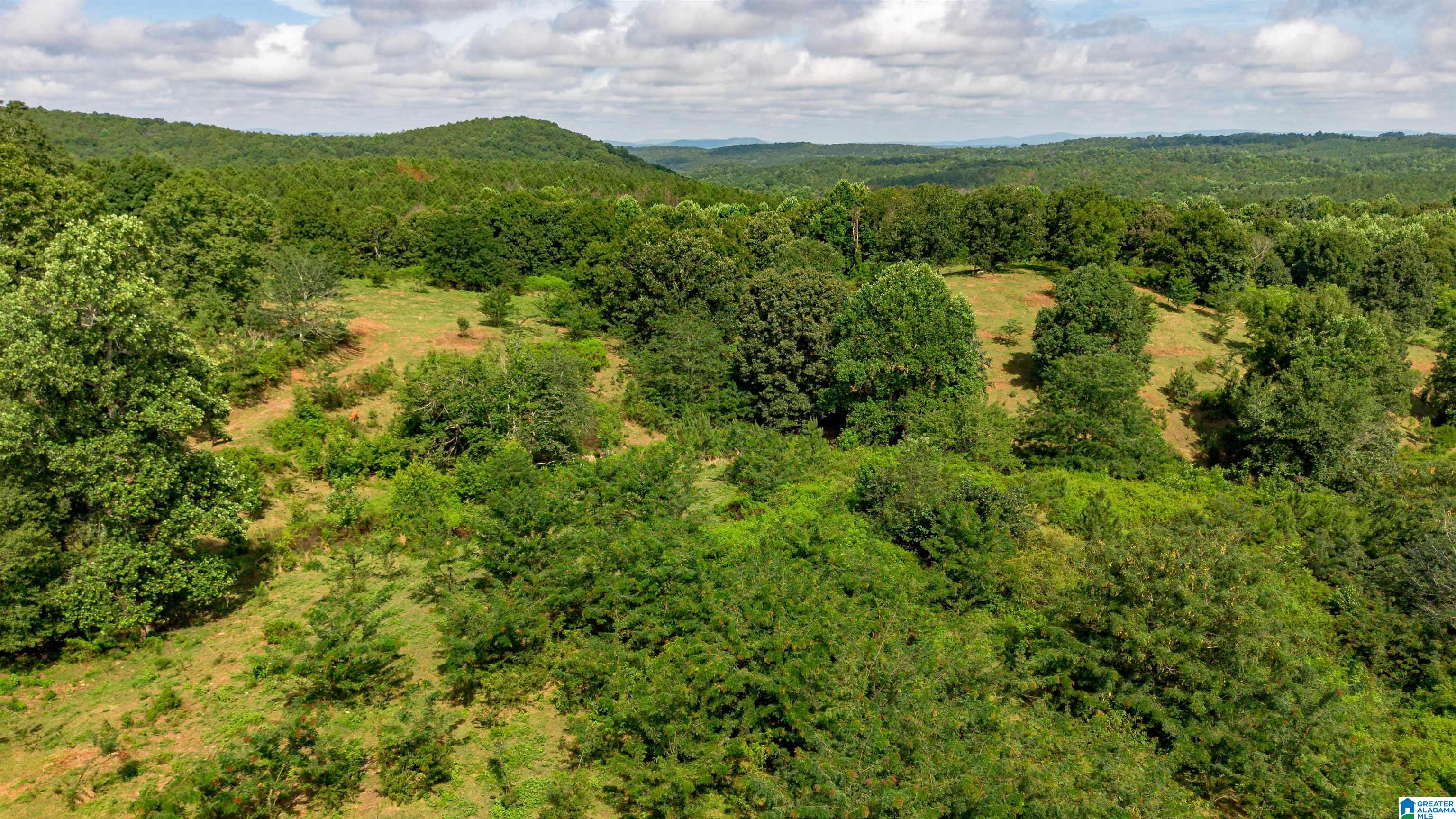 5967 County Road 19 2