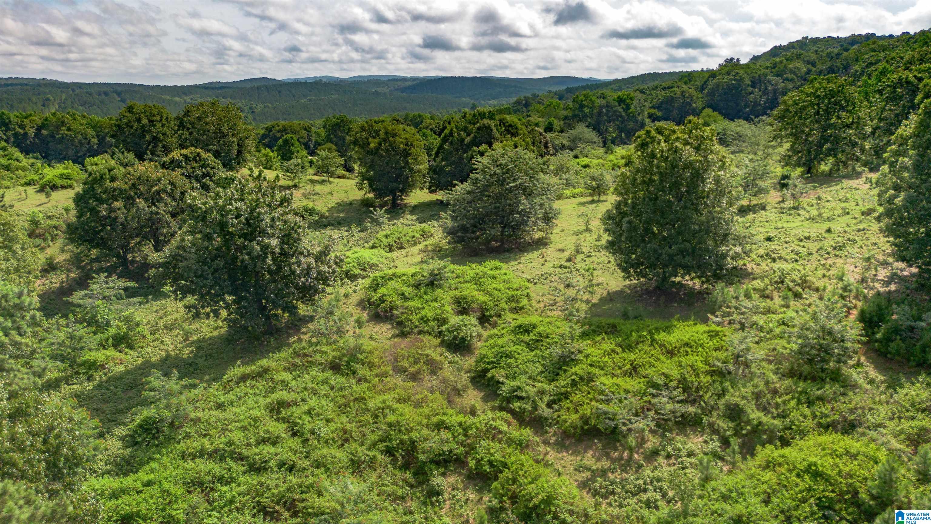 5967 County Road 19 2