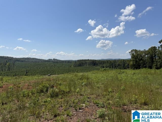 Land for sale at Tbd Grissom Fry Rd, VINCENT, AL 35178 | MLS# 21464056