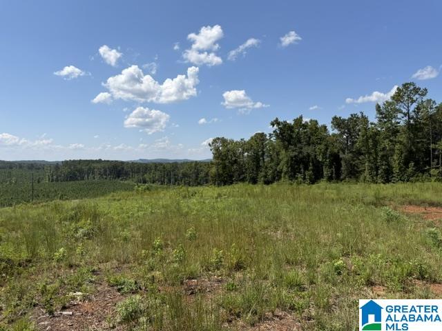 Photo 2 of Land for sale at Tbd Grissom Fry Rd, Vincent, AL 35178 | MLS# 21464056 | Listing updated on 2026-09-04