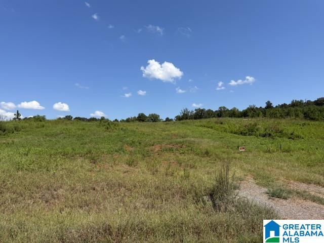 Photo 3 of Land for sale at Tbd Grissom Fry Rd, Vincent, AL 35178 | MLS# 21464056 | Listing updated on 2026-09-04