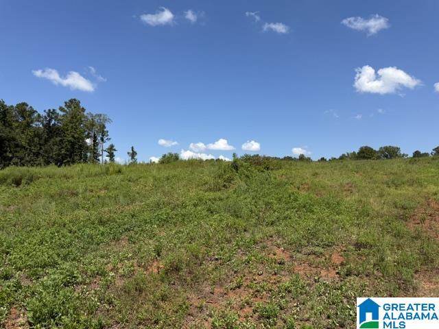 Photo 3 of Land for sale at Tbd Grissom Fry Rd, Vincent, AL 35178 | MLS# 21464056 | Listing updated on 2026-09-04