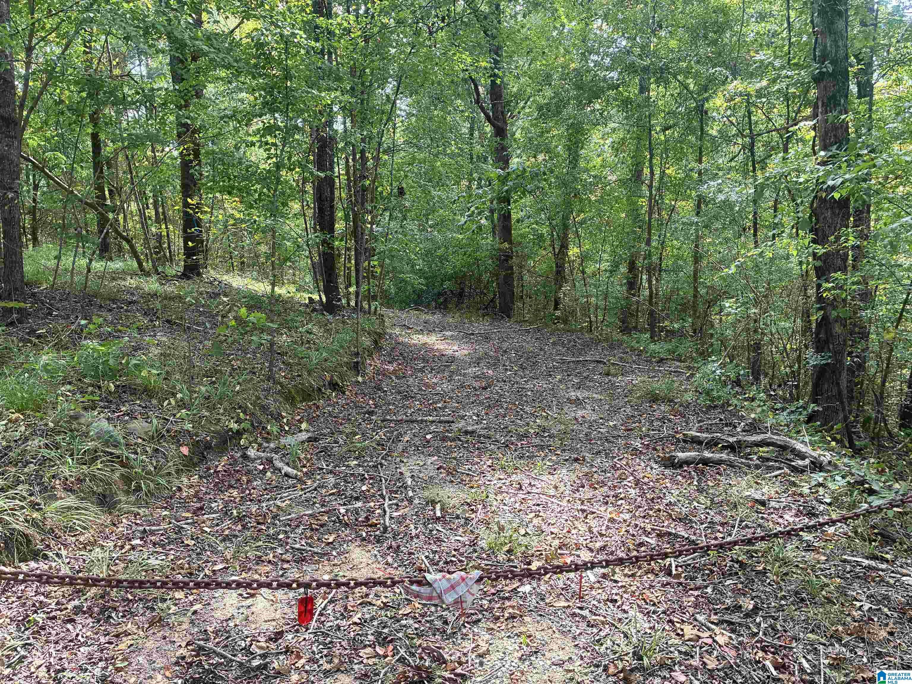 Land for sale at 7274 Taylors Fry Rd, BESSEMER, AL 35023 | MLS# 21464112