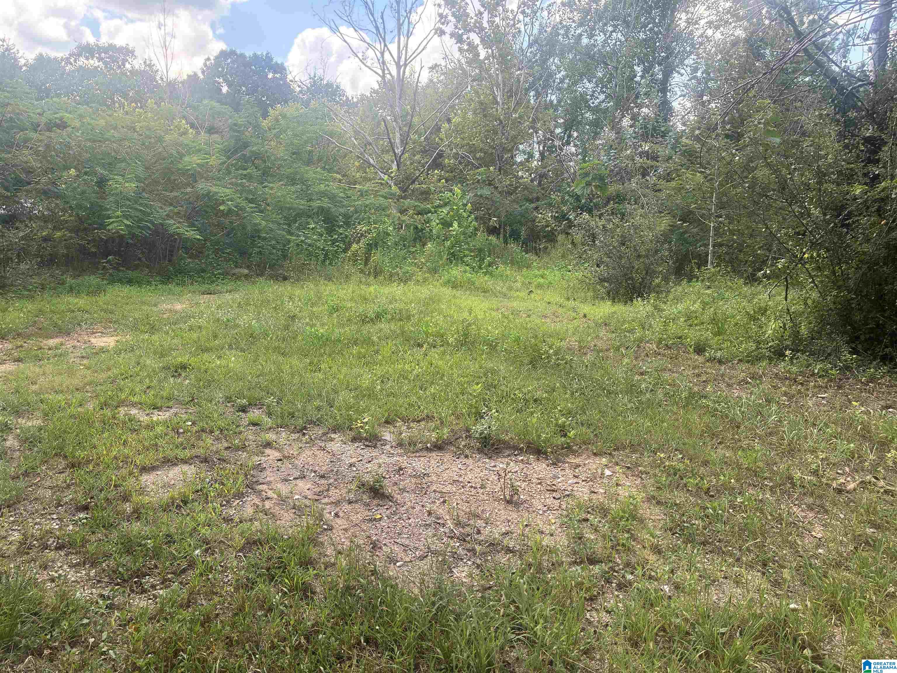 Photo 3 of Land for sale at 7274 Taylors Fry Rd, Bessemer, AL 35023 | MLS# 21464112 | Listing updated on 2026-09-08