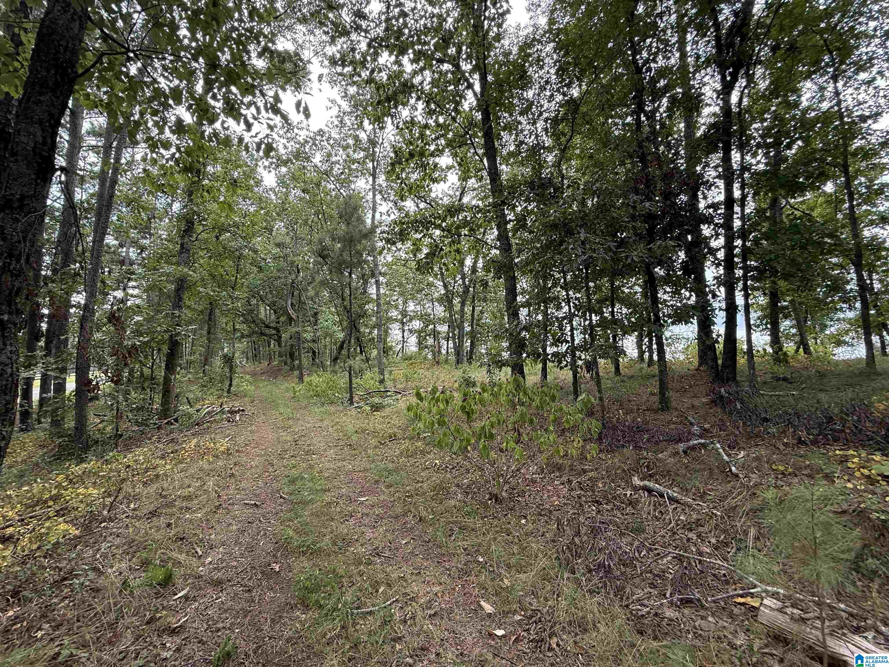 Photo 1 of Land for sale at 5782 S Shades Crst Rd, Bessemer, AL 35022 | MLS# 21464151 | Listing updated on 2026-09-04