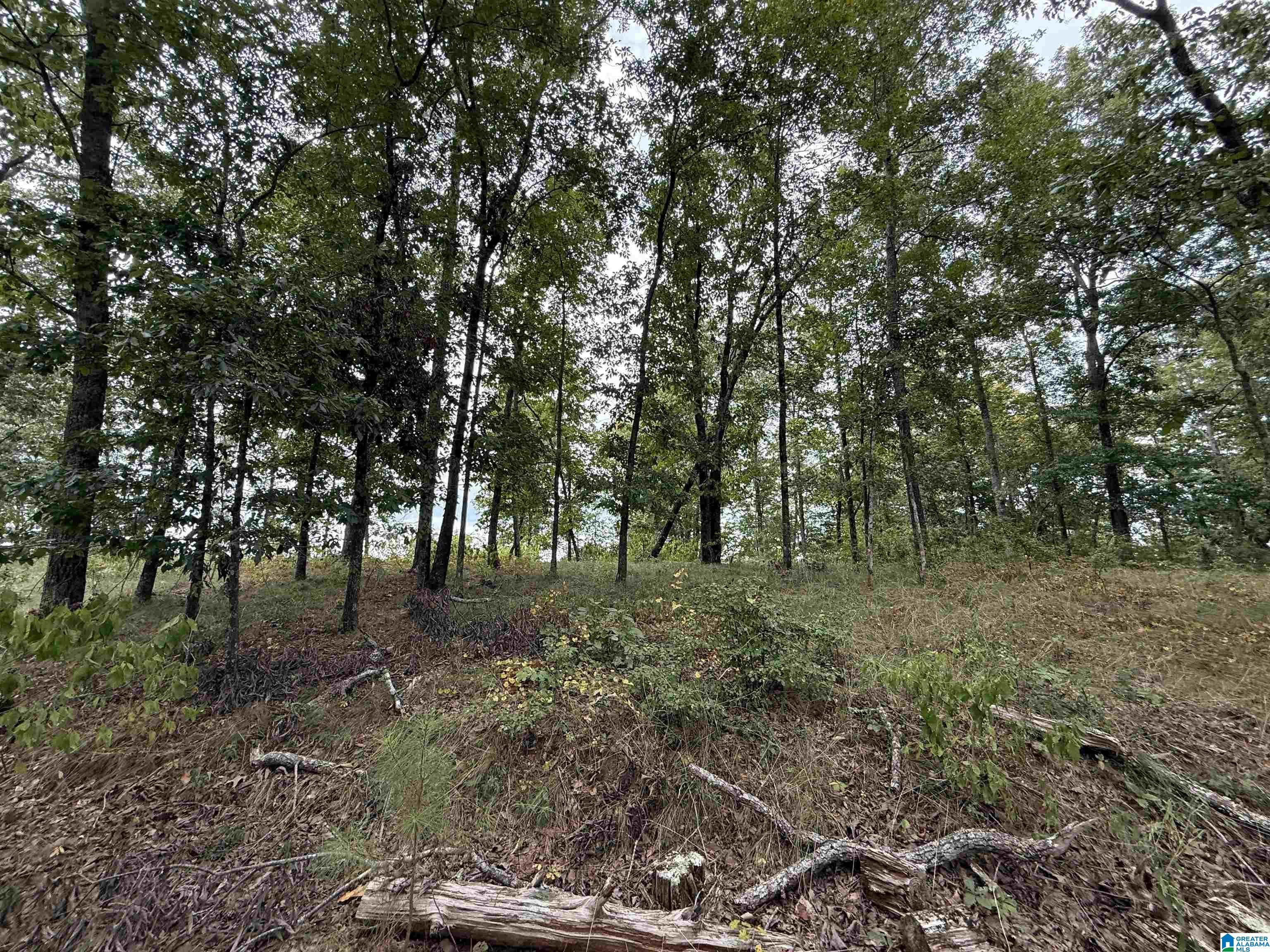 Photo 2 of Land for sale at 5782 S Shades Crst Rd, Bessemer, AL 35022 | MLS# 21464151 | Listing updated on 2026-09-04