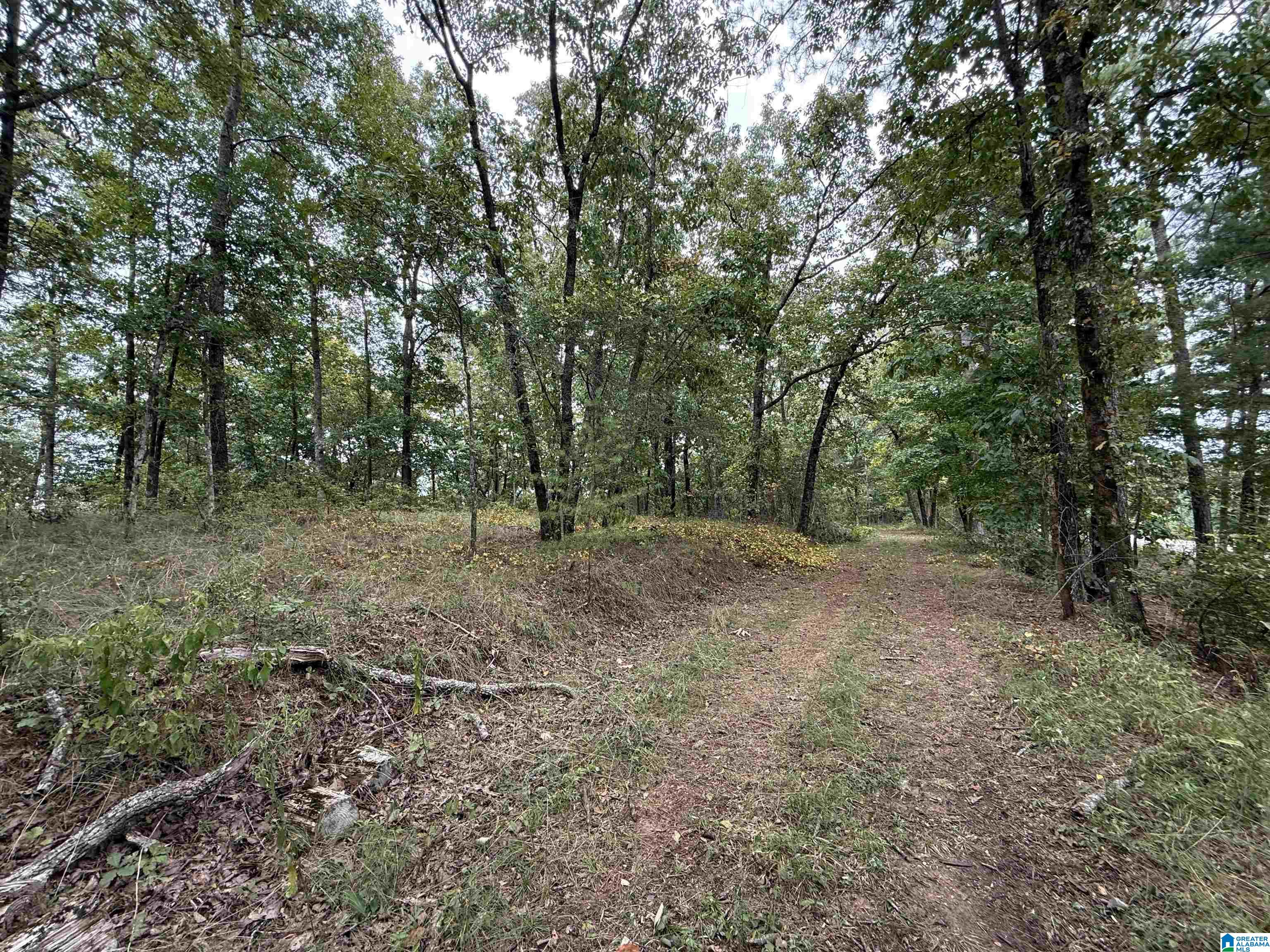 Photo 3 of Land for sale at 5782 S Shades Crst Rd, Bessemer, AL 35022 | MLS# 21464151 | Listing updated on 2026-09-04