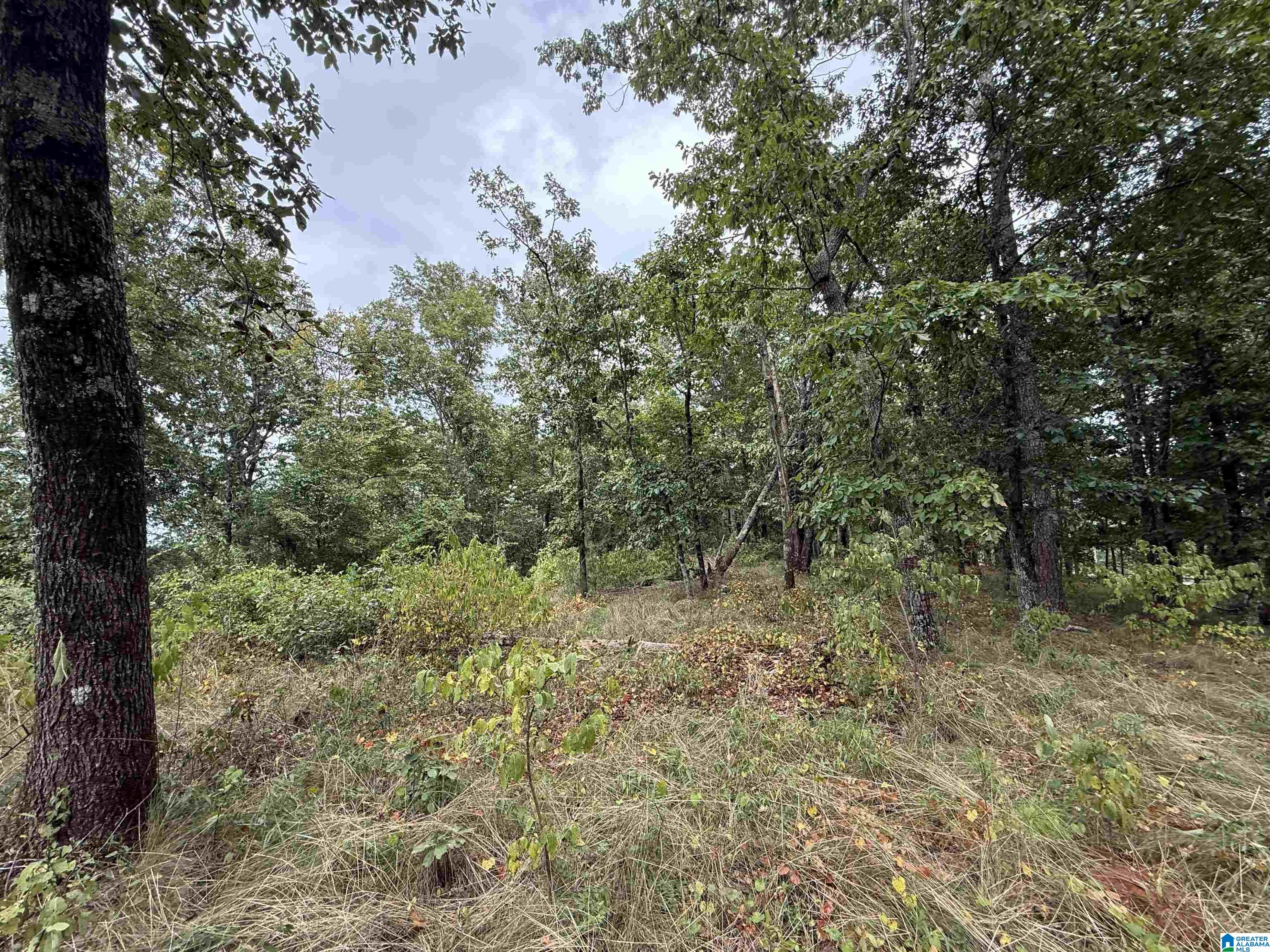 Photo 3 of Land for sale at 5782 S Shades Crst Rd, Bessemer, AL 35022 | MLS# 21464151 | Listing updated on 2026-09-04