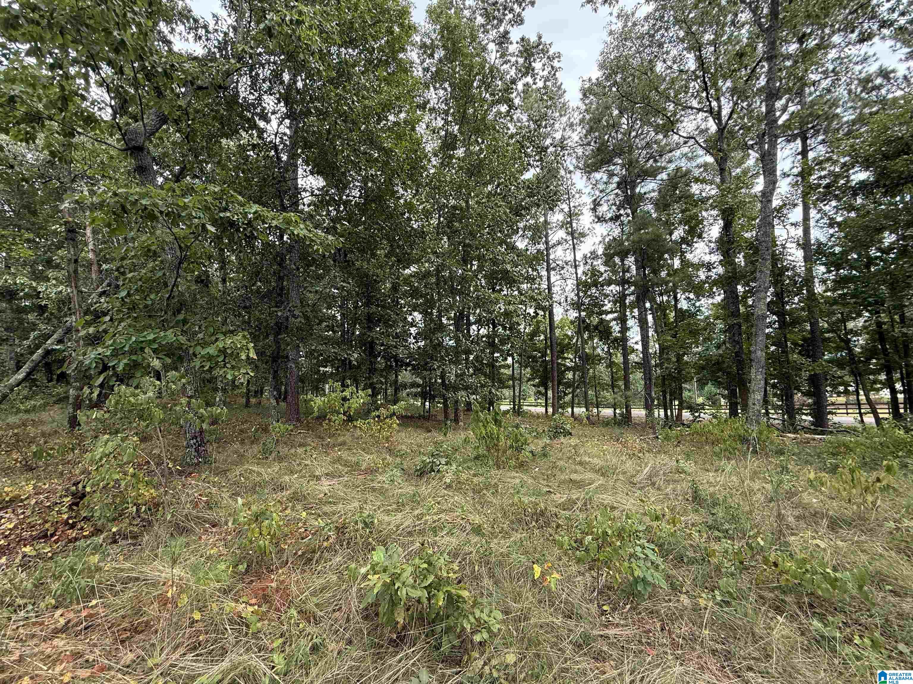 Photo 4 of Land for sale at 5782 S Shades Crst Rd, Bessemer, AL 35022 | MLS# 21464151 | Listing updated on 2026-09-04