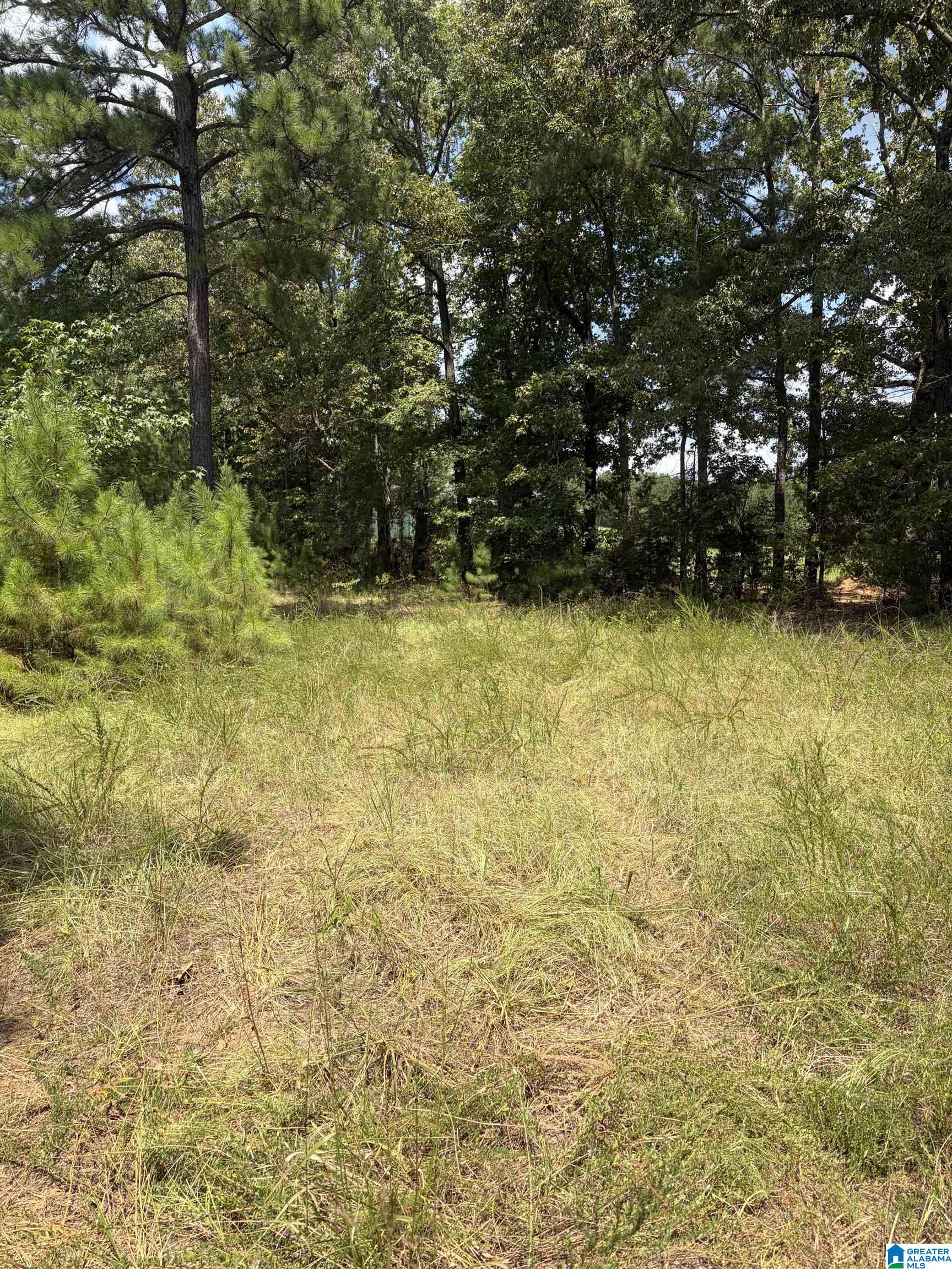 Photo 3 of Land for sale at 0 County Rd 490, Clanton, AL 35046 | MLS# 21464167 | Listing updated on 2026-09-04