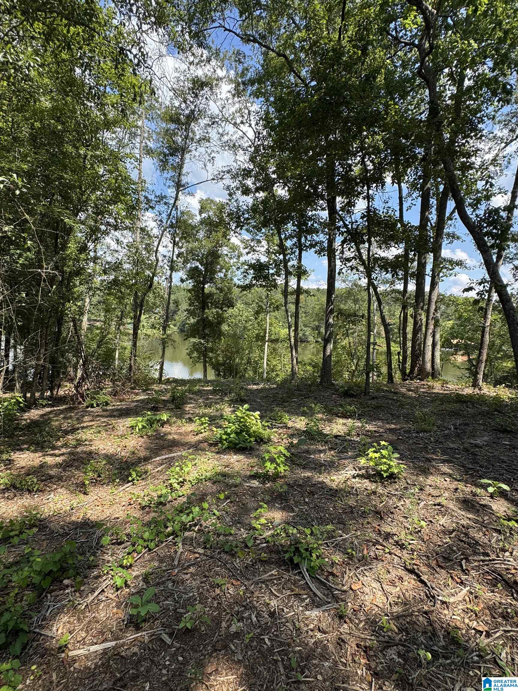 Photo 3 of Land for sale at Lot15 Cam's Cov Old Hwy 431, Wedowee, AL 36278 | MLS# 21464197 | Listing updated on 2026-09-05