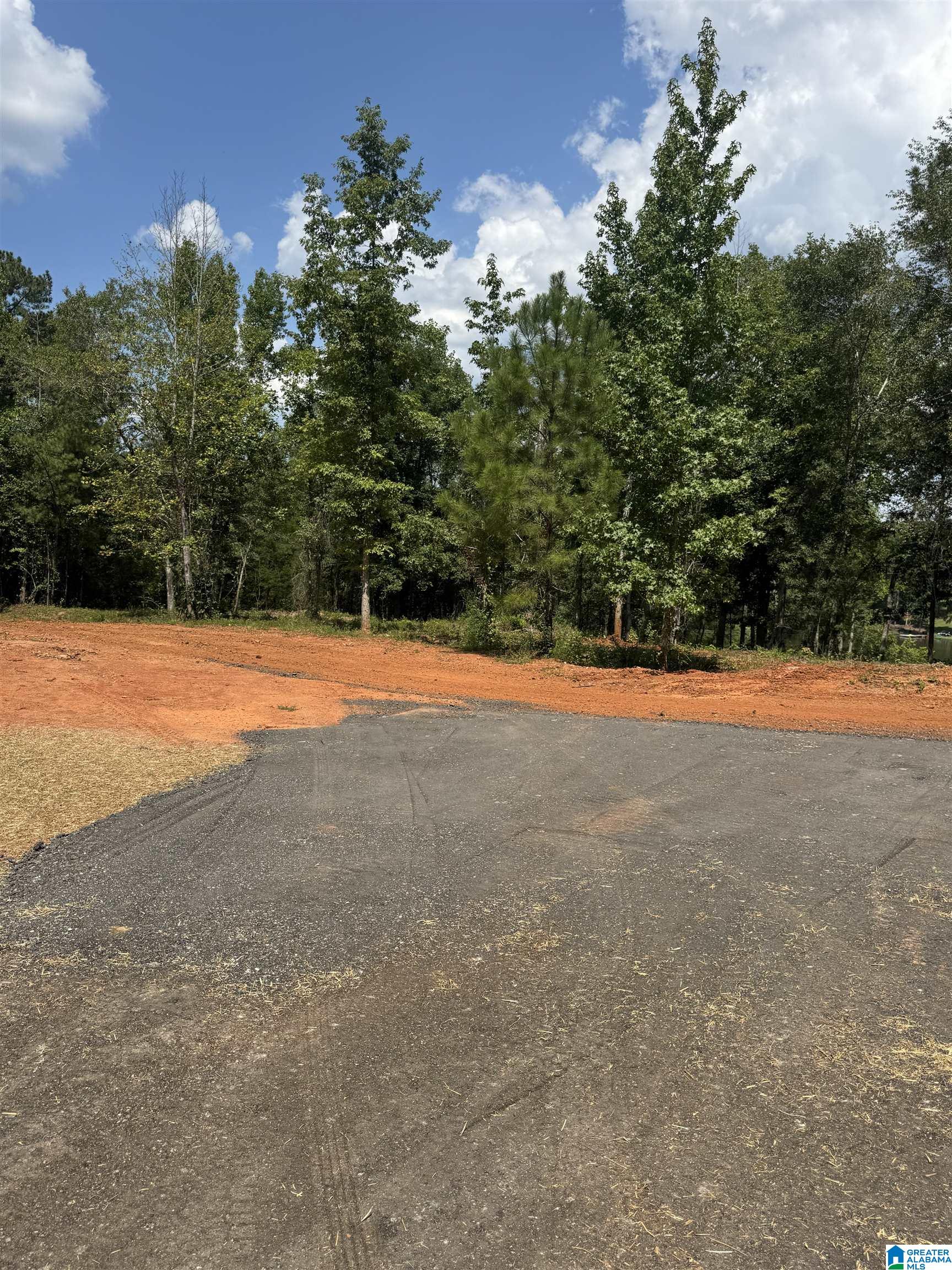 Photo 4 of Land for sale at Lot15 Cam's Cov Old Hwy 431, Wedowee, AL 36278 | MLS# 21464197 | Listing updated on 2026-09-05