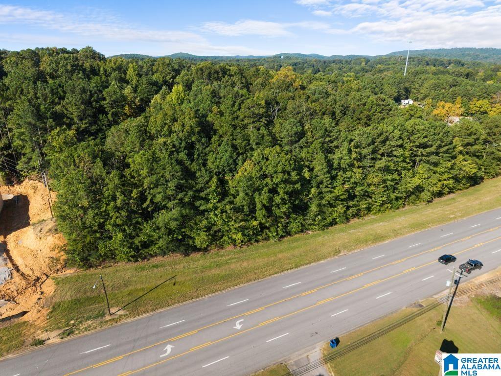 Photo 2 of Land for sale at 00 Highway 231, Oneonta, AL 35121 | MLS# 21464346 | Listing updated on 2026-09-10