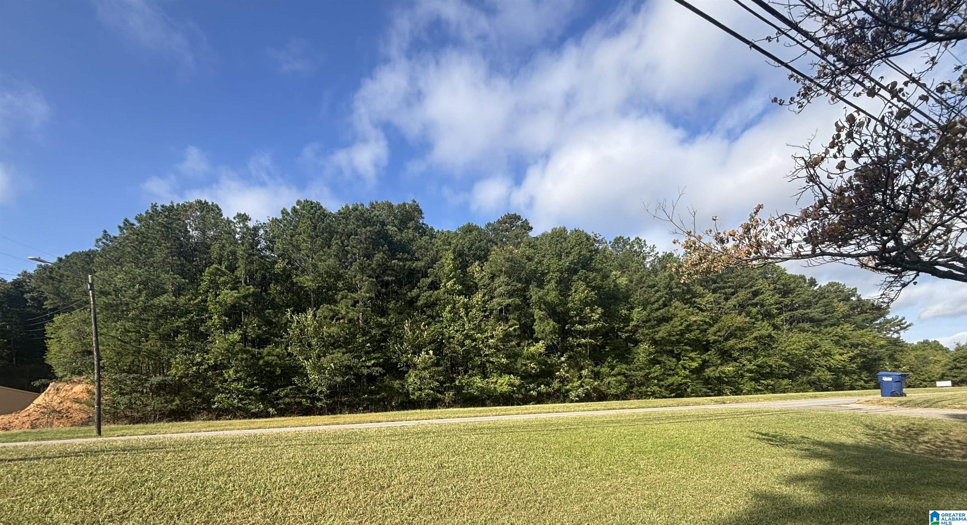 Photo 3 of Land for sale at 00 Highway 231, Oneonta, AL 35121 | MLS# 21464346 | Listing updated on 2026-09-10