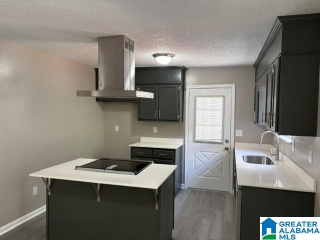Photo 4 of Sale Pending at 2229 Creekview Ln, Birmingham, AL 35210 | MLS# 21464362 | Listing updated on 2026-09-18