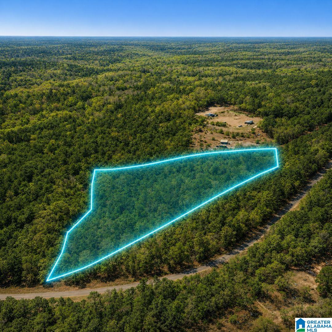 Photo 3 of Land for sale at 0 County Rd 138, Bay Minette, AL 36507 | MLS# 21464408 | Listing updated on 2026-09-17