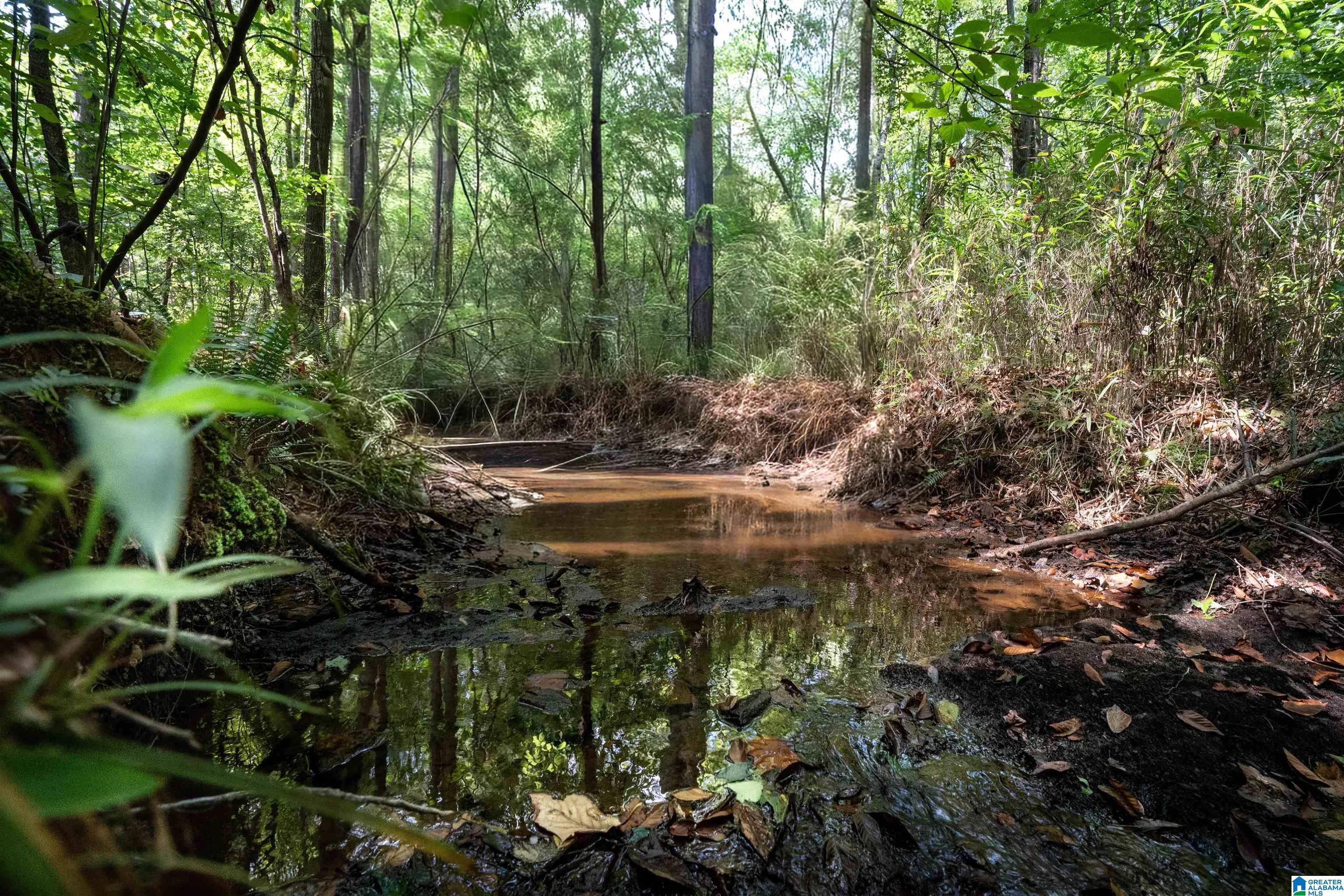 Land for sale at 0 County Rd 87, ROANOKE, AL 36274 | MLS# 21464445
