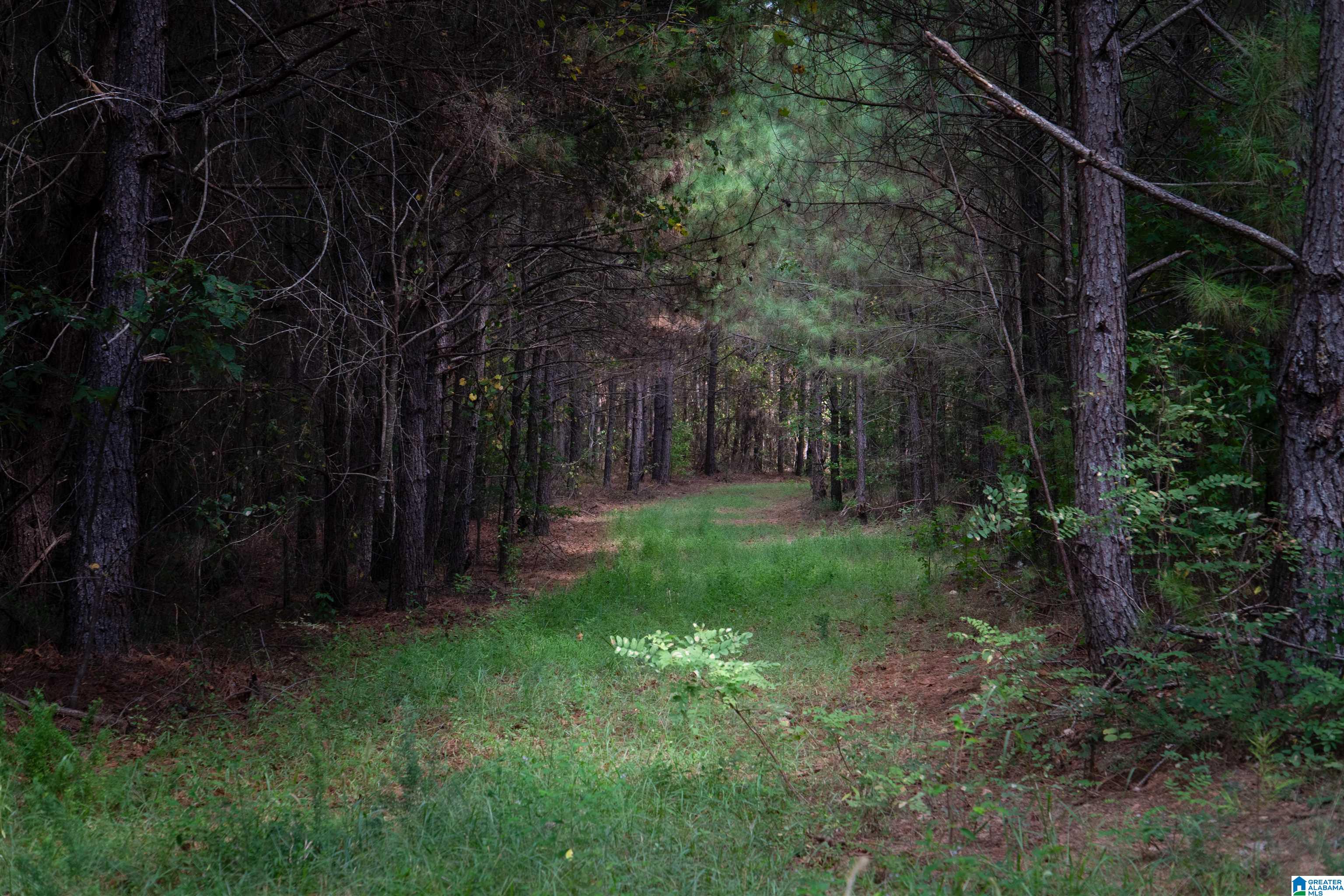 Photo 2 of Land for sale at 0 County Rd 87, Roanoke, AL 36274 | MLS# 21464445 | Listing updated on 2026-09-09