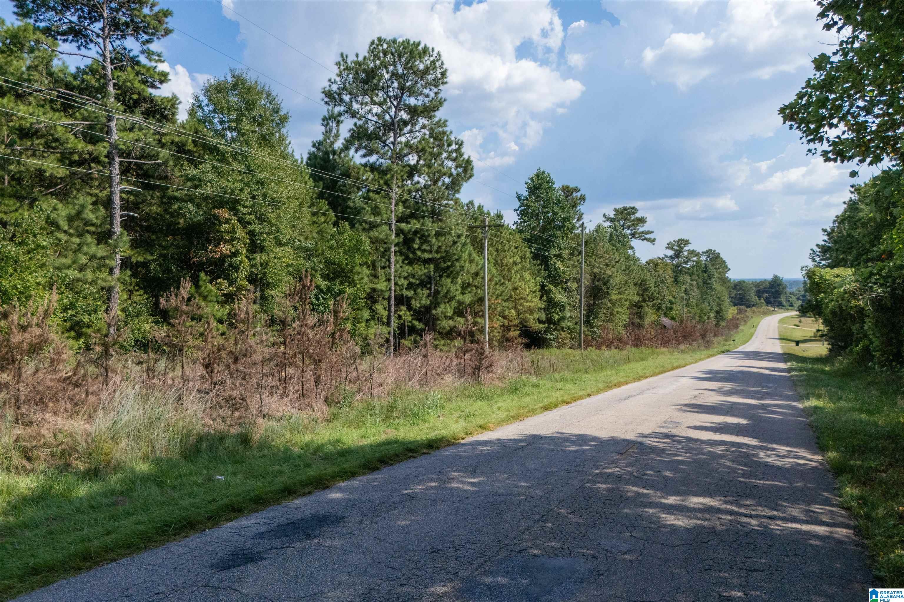 Photo 3 of Land for sale at 0 County Rd 87, Roanoke, AL 36274 | MLS# 21464445 | Listing updated on 2026-09-09