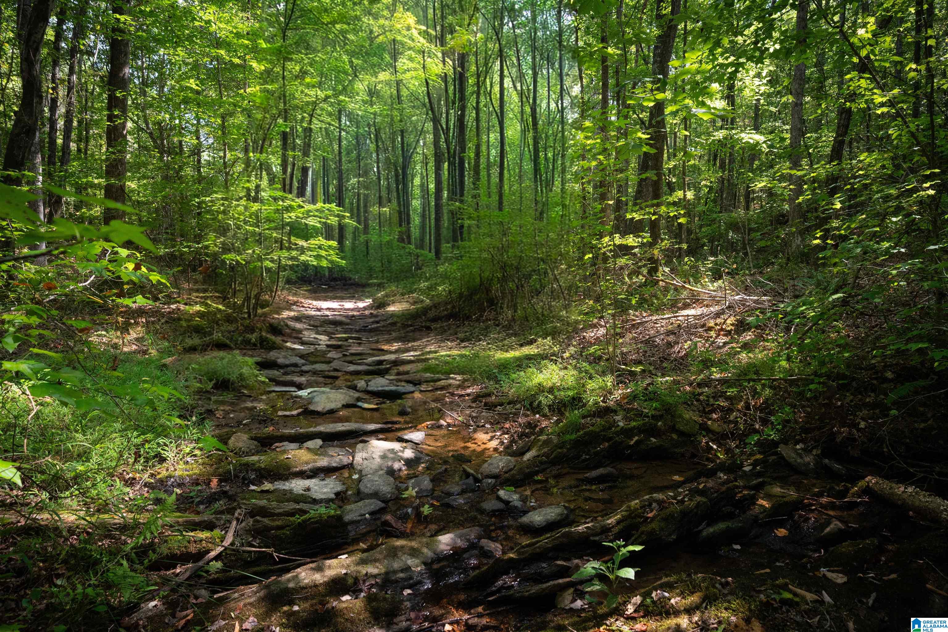 Photo 4 of Land for sale at 0 County Rd 87, Roanoke, AL 36274 | MLS# 21464445 | Listing updated on 2026-09-09