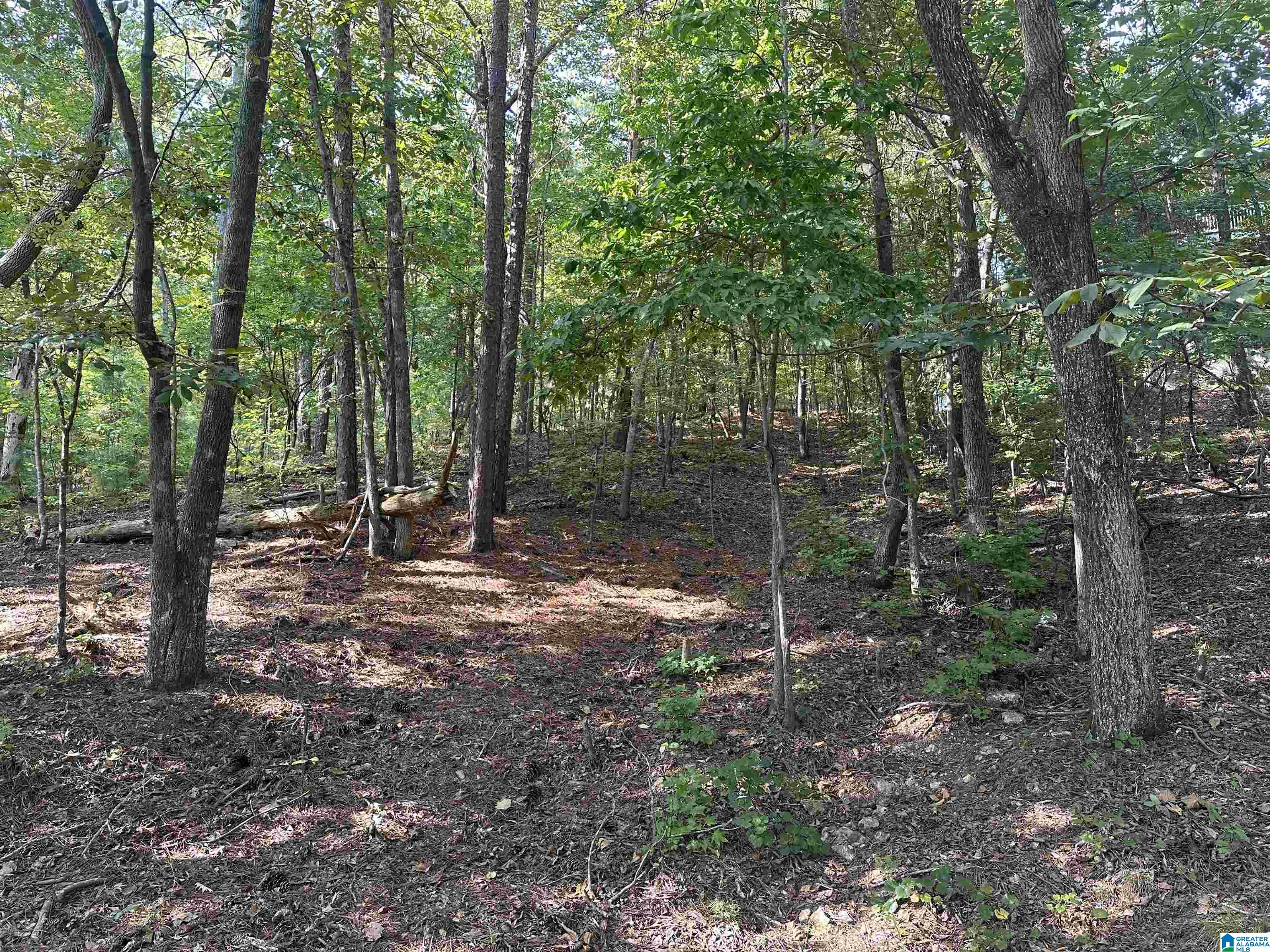 Photo 3 of Land for sale at 170 River Bnd Cir, Talladega, AL 35160 | MLS# 21464506 | Listing updated on 2026-09-09