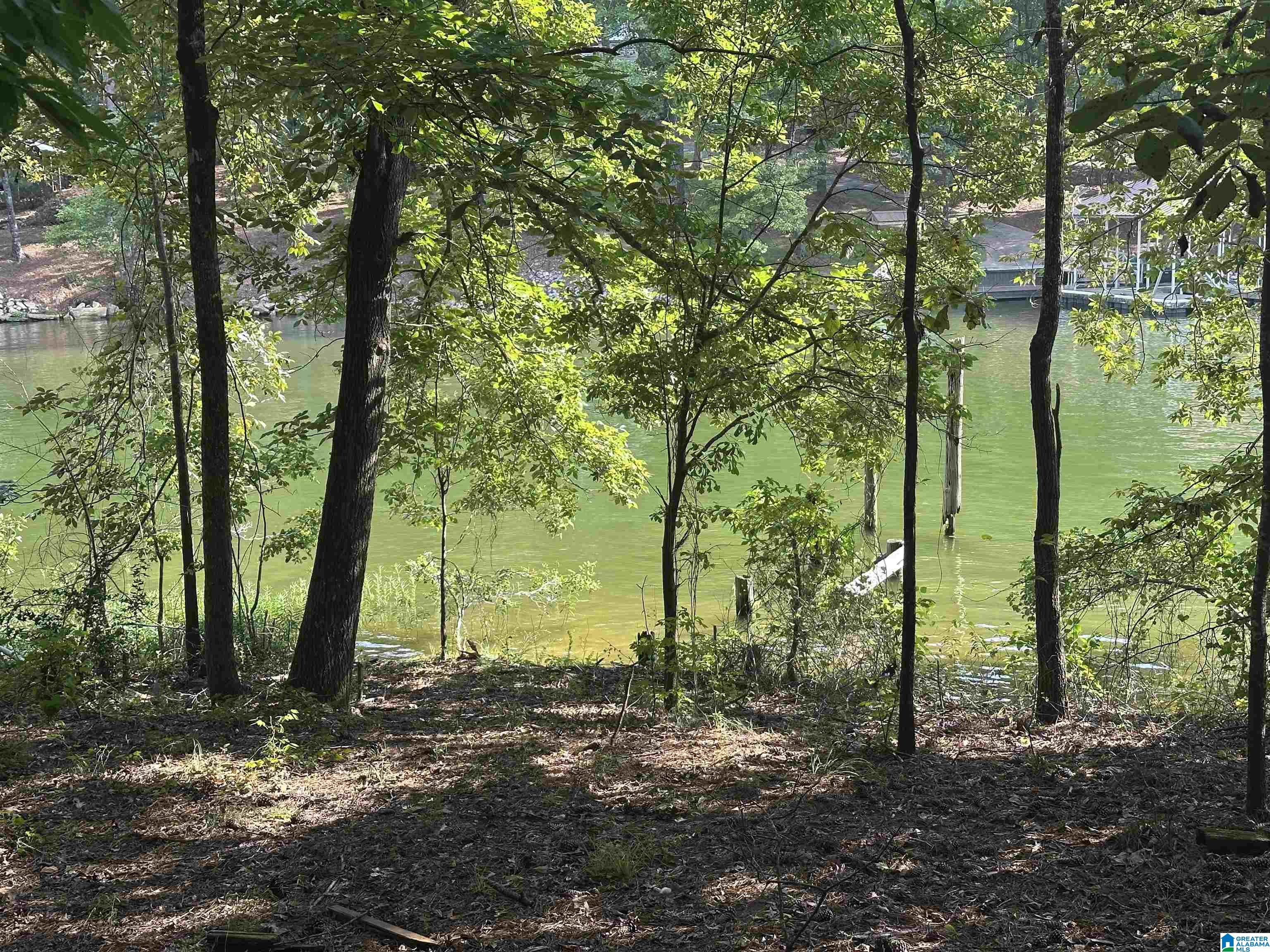Photo 4 of Land for sale at 170 River Bnd Cir, Talladega, AL 35160 | MLS# 21464506 | Listing updated on 2026-09-09