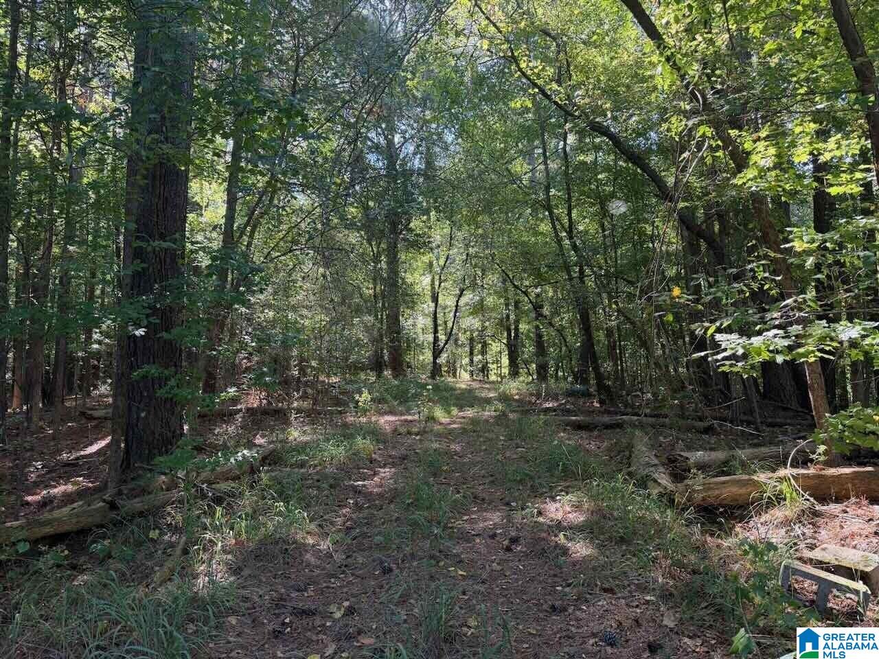 Photo 4 of Single family home for sale at 9063 Bush Ave, Leeds, AL 35094 | MLS# 21464576 | Listing updated on 2026-09-11