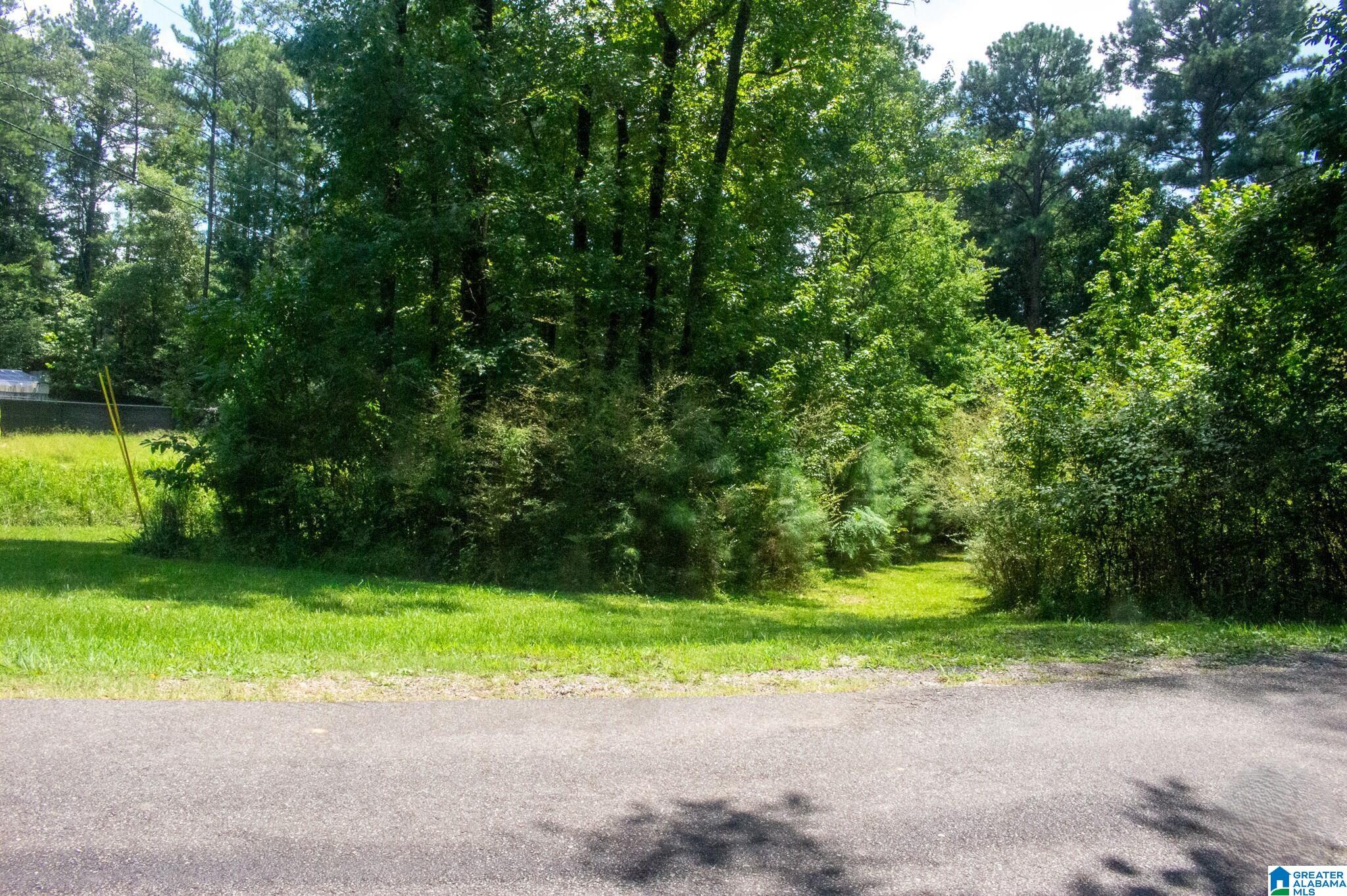 Photo 4 of Land for sale at 243 Anna Crk Dr, Helena, AL 35080 | MLS# 21464595 | Listing updated on 2026-09-10