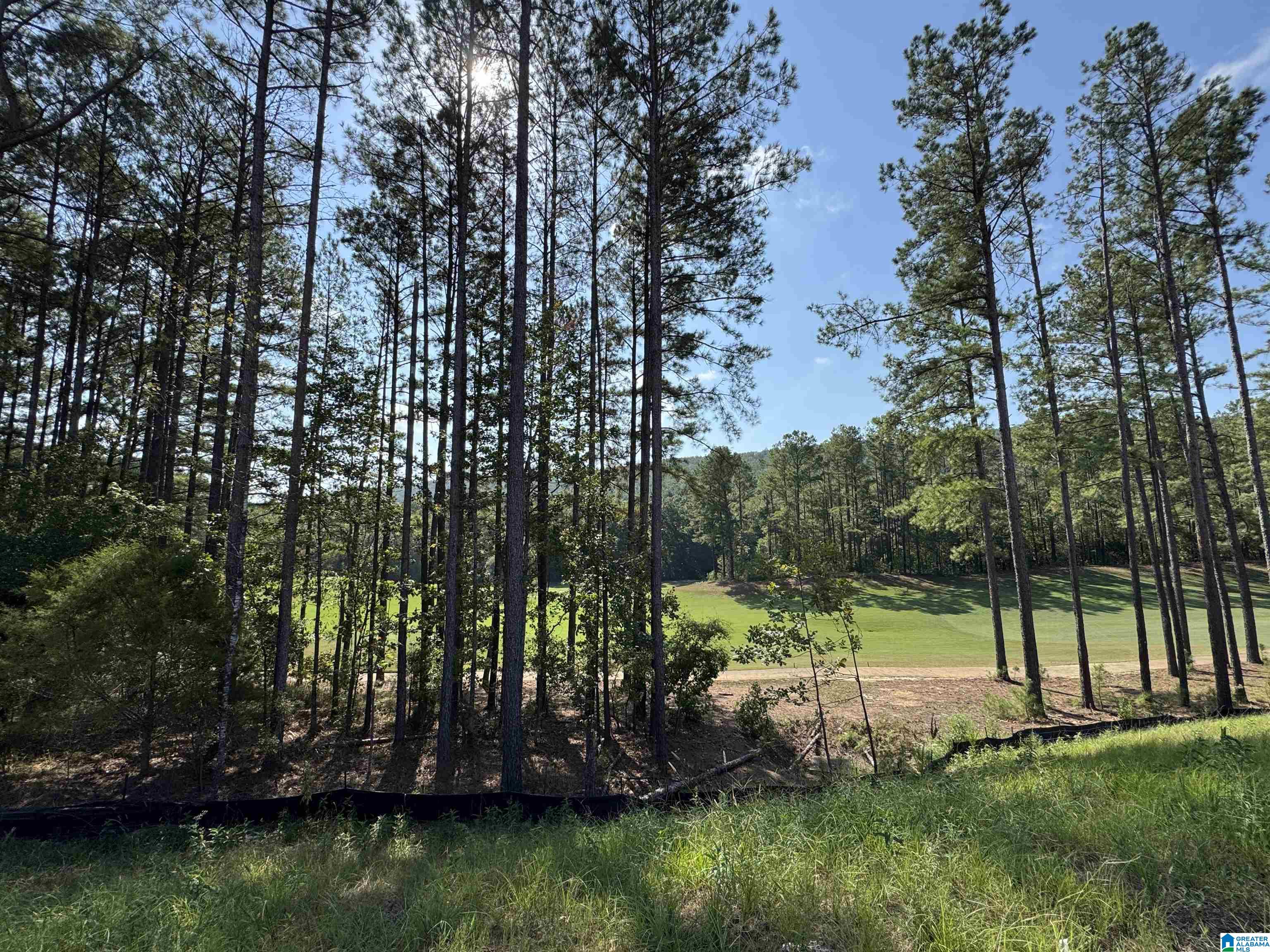 Photo 3 of Single family home for sale at 112 Sinclair Glen, Pelham, AL 35124 | MLS# 21464629 | Listing updated on 2026-09-16