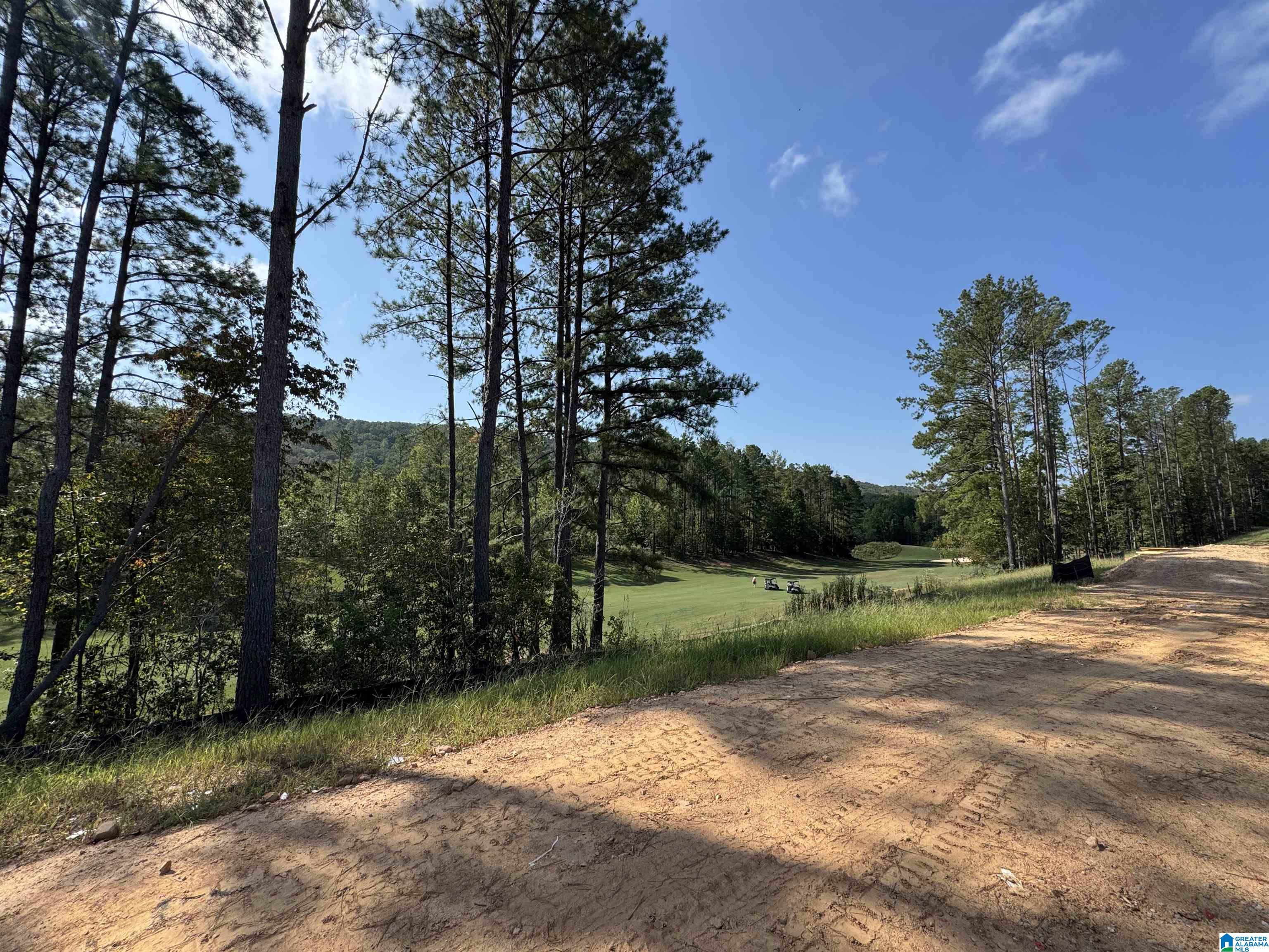 Photo 4 of Single family home for sale at 112 Sinclair Glen, Pelham, AL 35124 | MLS# 21464629 | Listing updated on 2026-09-16