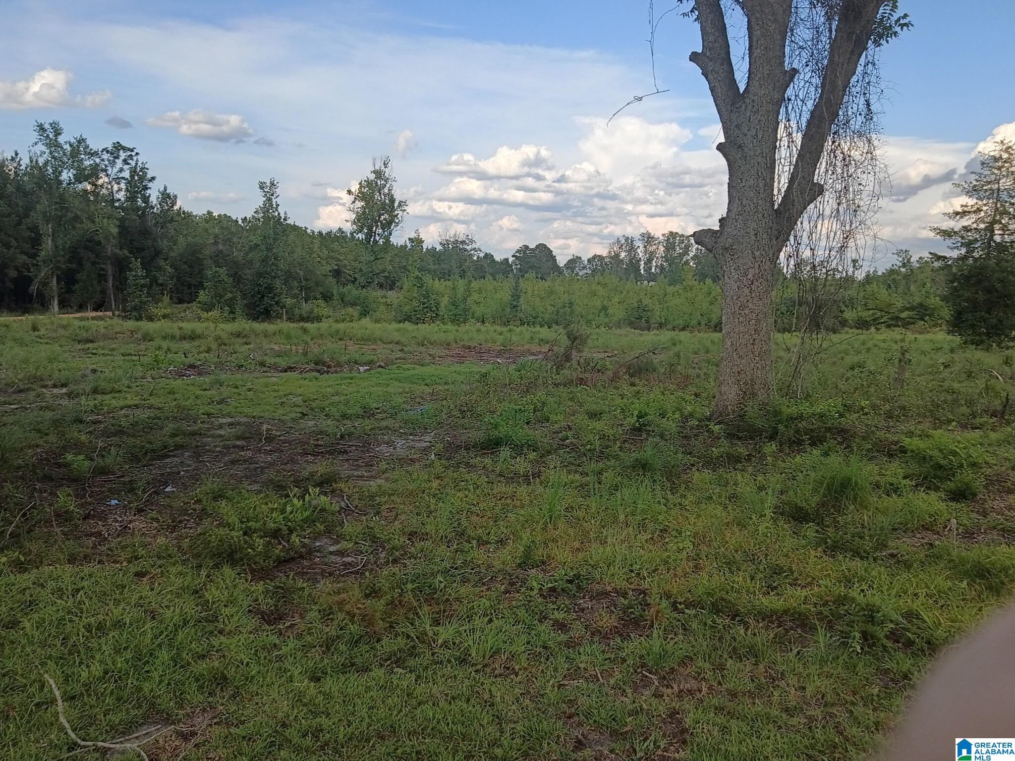 Photo 4 of Single family home for sale at 23938 Rosin Ridge Rd, Red Level, AL 36474 | MLS# 21464650 | Listing updated on 2026-09-13