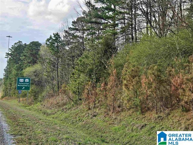 Land for sale at 0 W Highway 280, SYLACAUGA, AL 35150 | MLS# 21464662