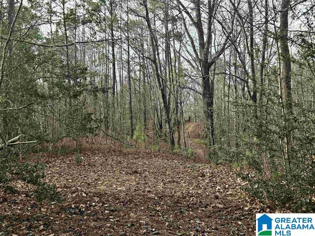 Photo 2 of Land for sale at 0 W Highway 280, Sylacauga, AL 35150 | MLS# 21464662 | Listing updated on 2026-09-11