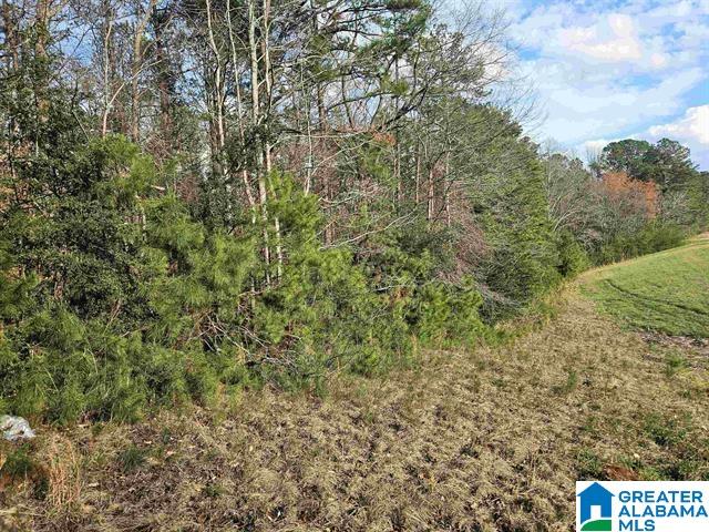 Photo 3 of Land for sale at 0 W Highway 280, Sylacauga, AL 35150 | MLS# 21464662 | Listing updated on 2026-09-11