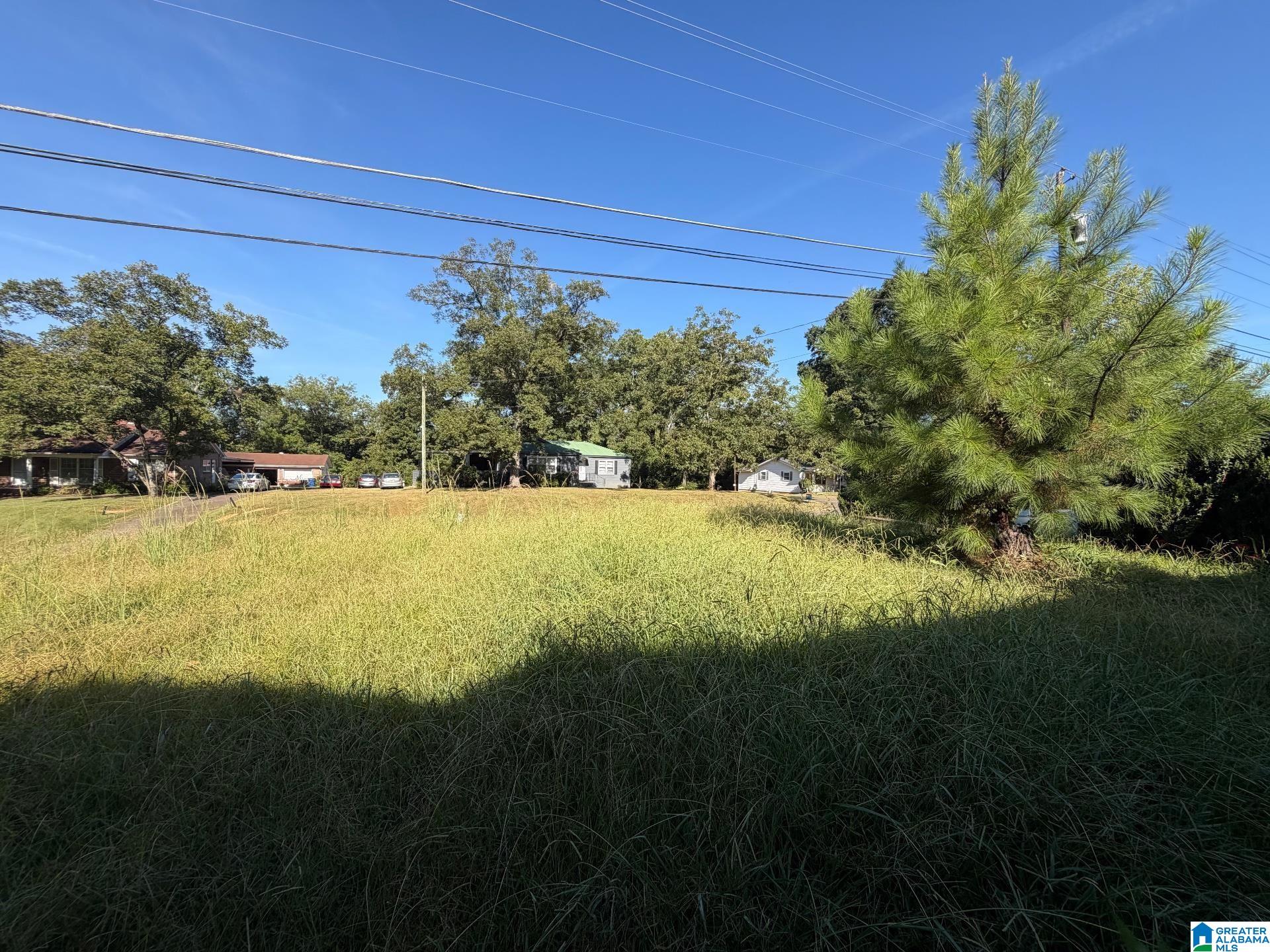 Photo 3 of Single family home for sale at 803 Bankhead Blvd, Talladega, AL 35160 | MLS# 21464706 | Listing updated on 2026-09-12