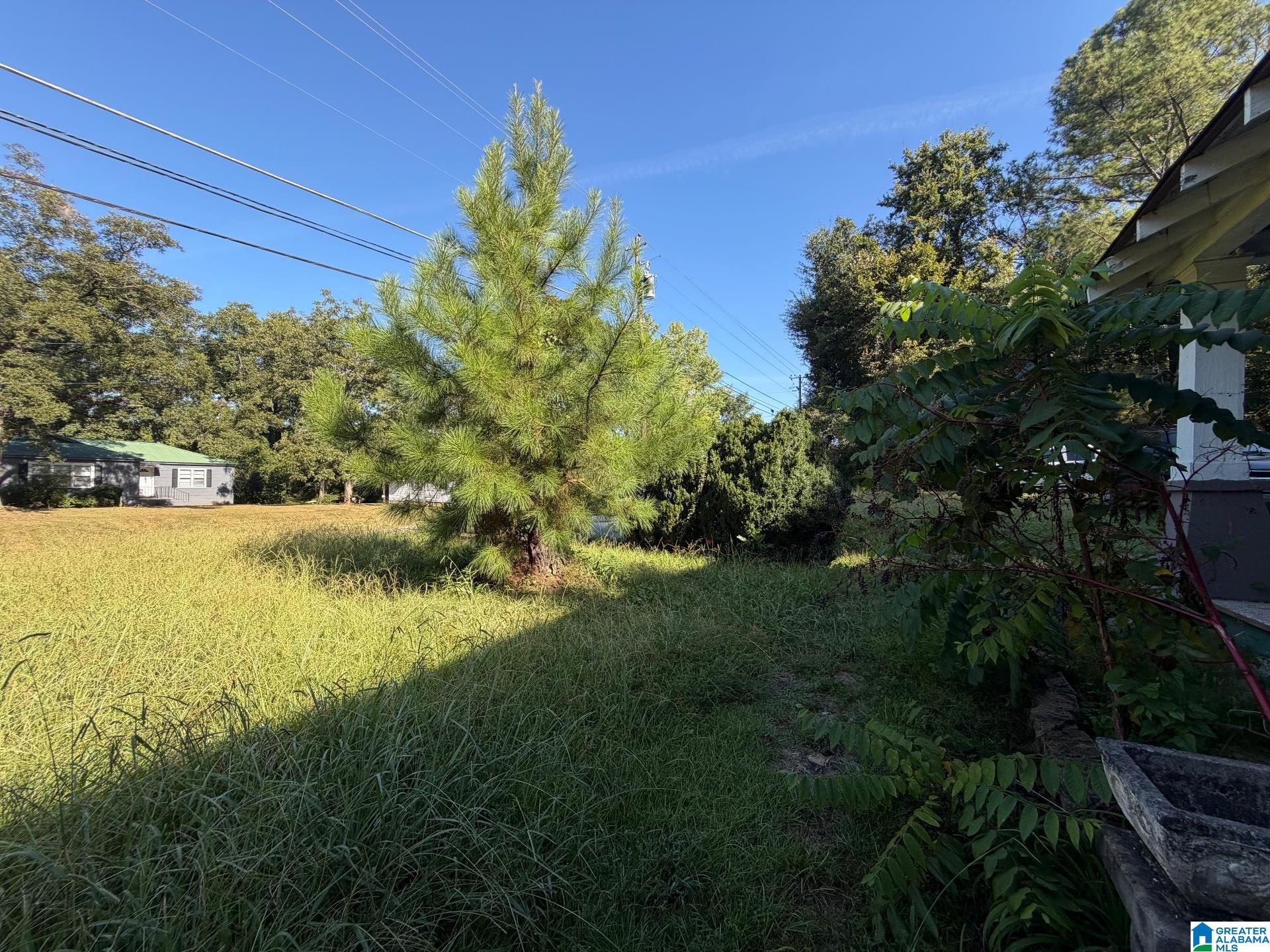 Photo 51 of Single family home for sale at 803 Bankhead Blvd, Talladega, AL 35160 | MLS# 21464706 | Listing updated on 2026-09-12