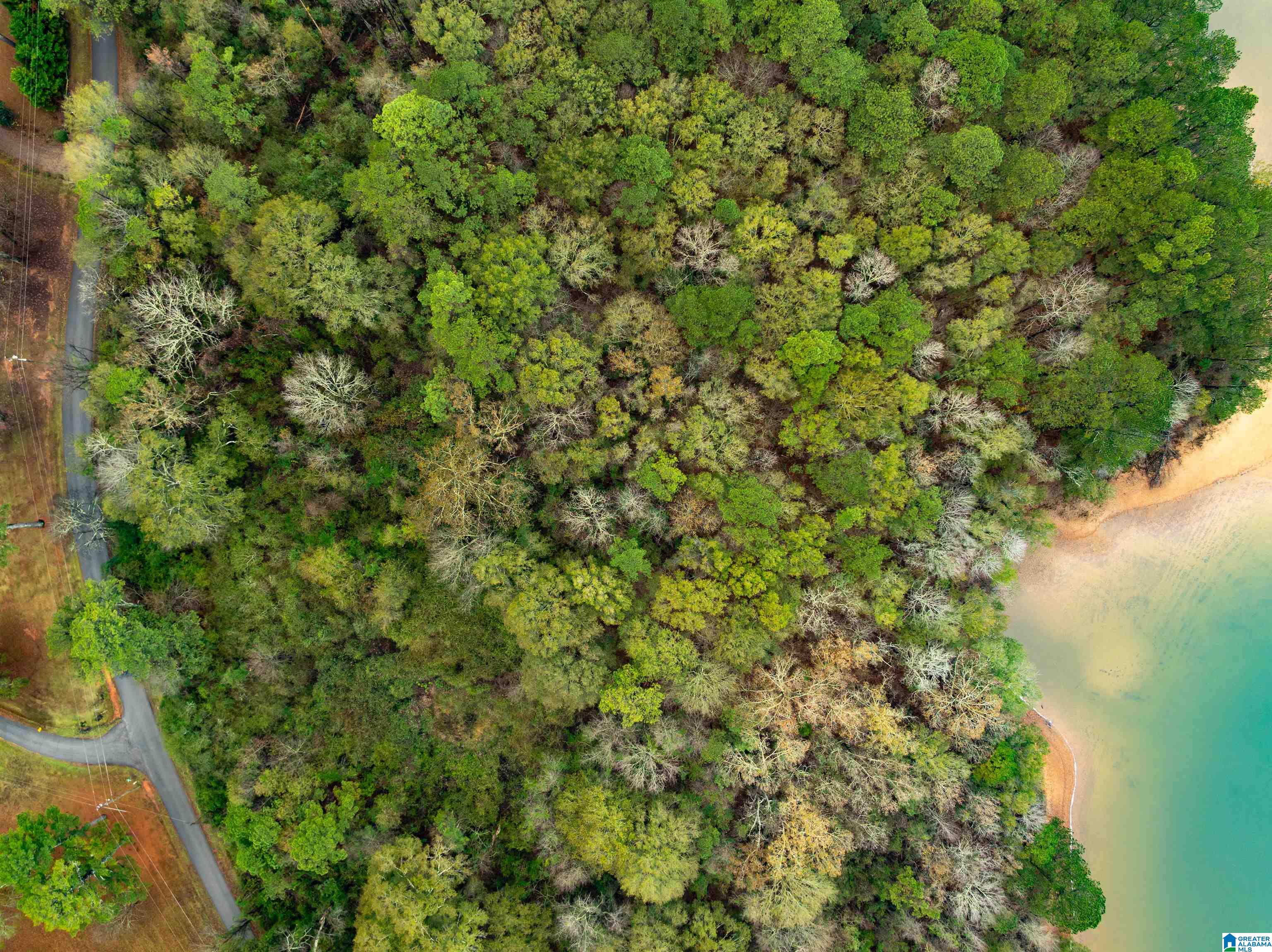 Photo 2 of Land for sale at 0 Annesley Dr, Pell City, AL 35128 | MLS# 21464730 | Listing updated on 2026-09-11