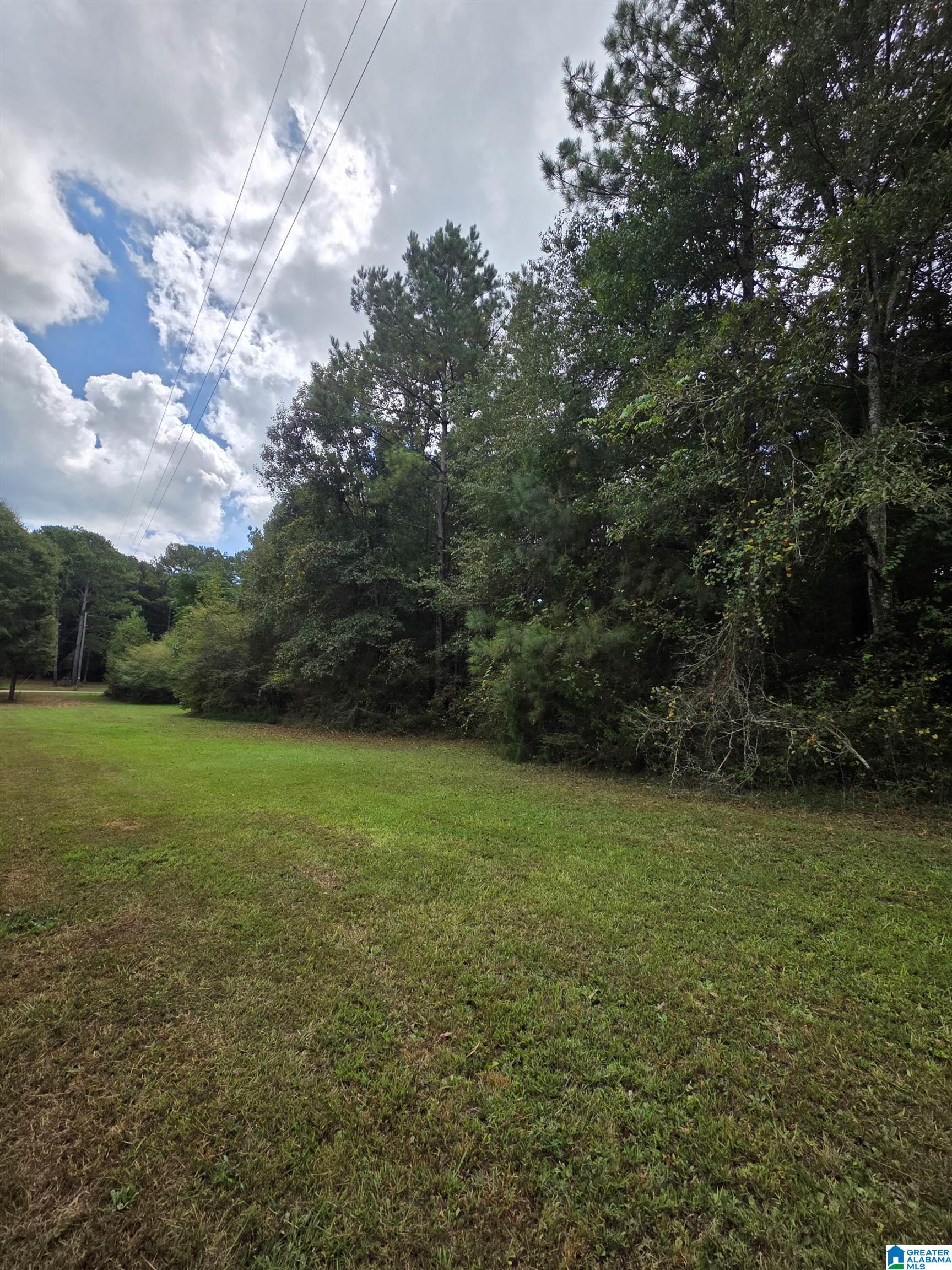 Photo 3 of Land for sale at 0 John Irwin Dr, Talladega, AL 35160 | MLS# 21464747 | Listing updated on 2026-09-17