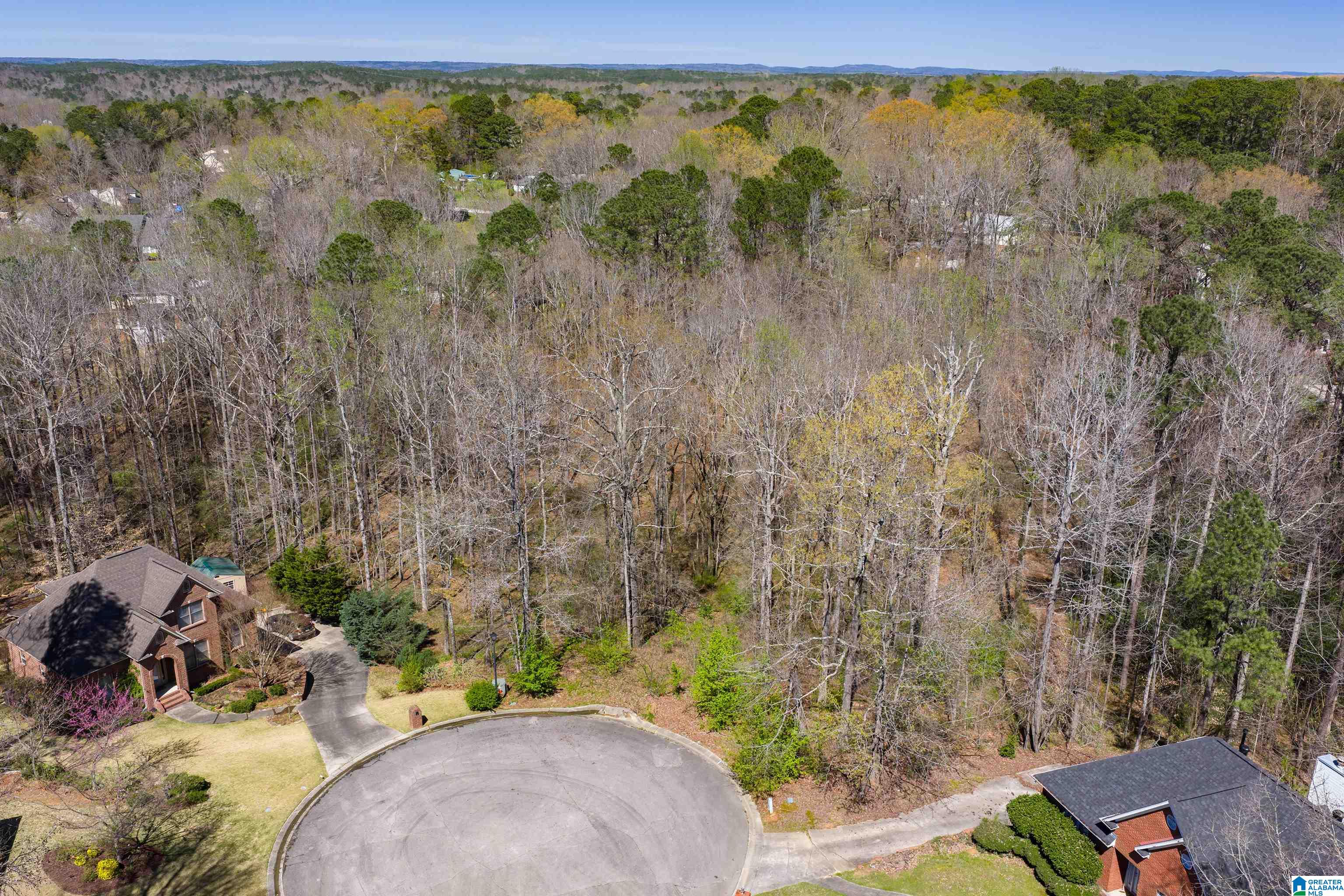 Photo 2 of Land for sale at 1462 Acorn Way, Mount Olive, AL 35117 | MLS# 21464756 | Listing updated on 2026-09-11