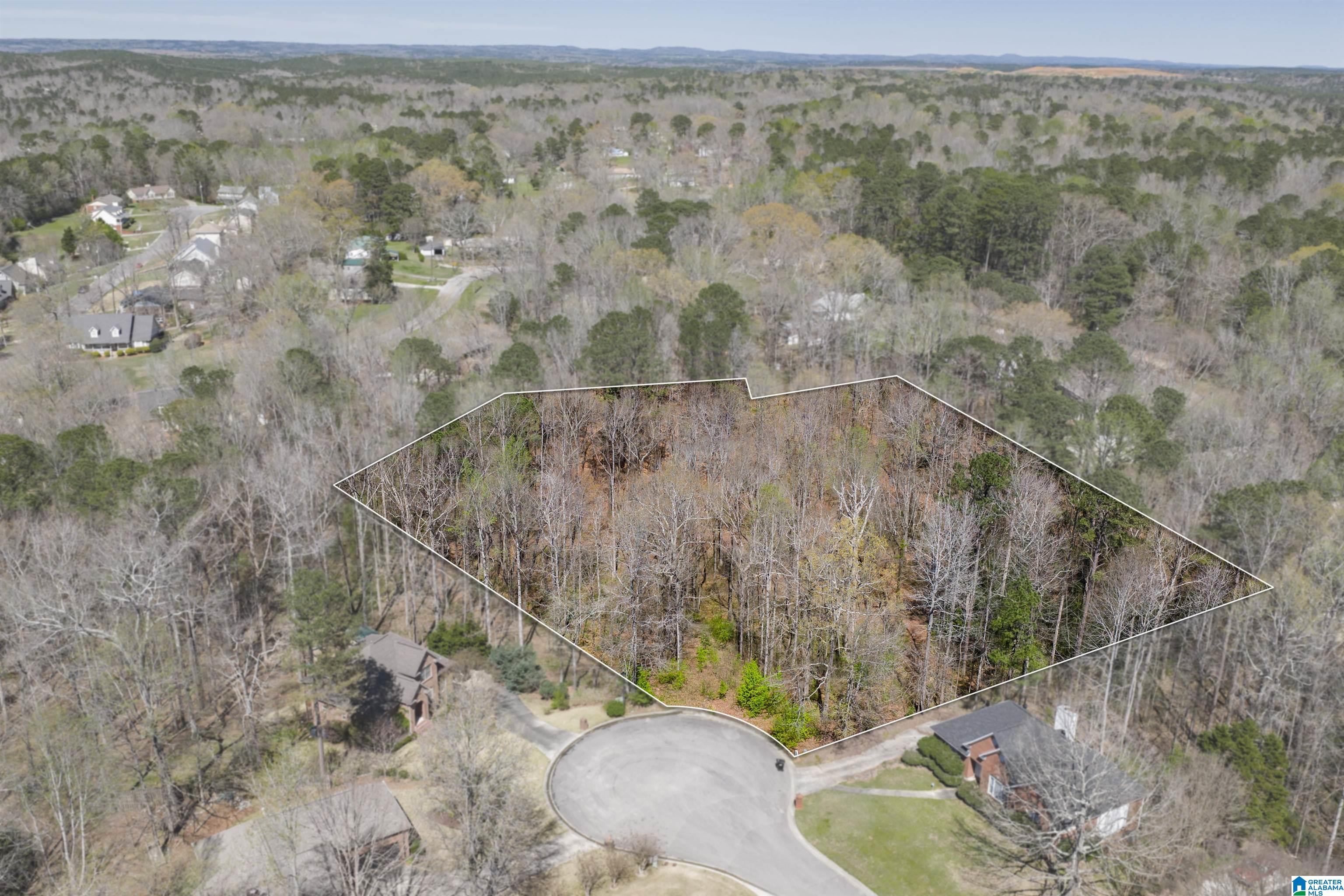 Photo 3 of Land for sale at 1462 Acorn Way, Mount Olive, AL 35117 | MLS# 21464756 | Listing updated on 2026-09-11